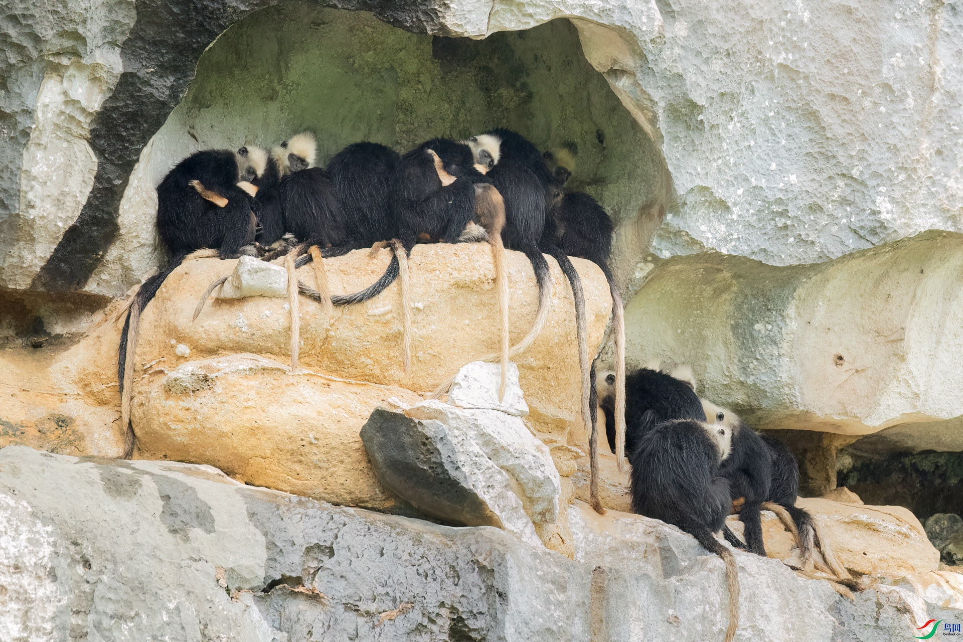 B86I2219 _����.jpg