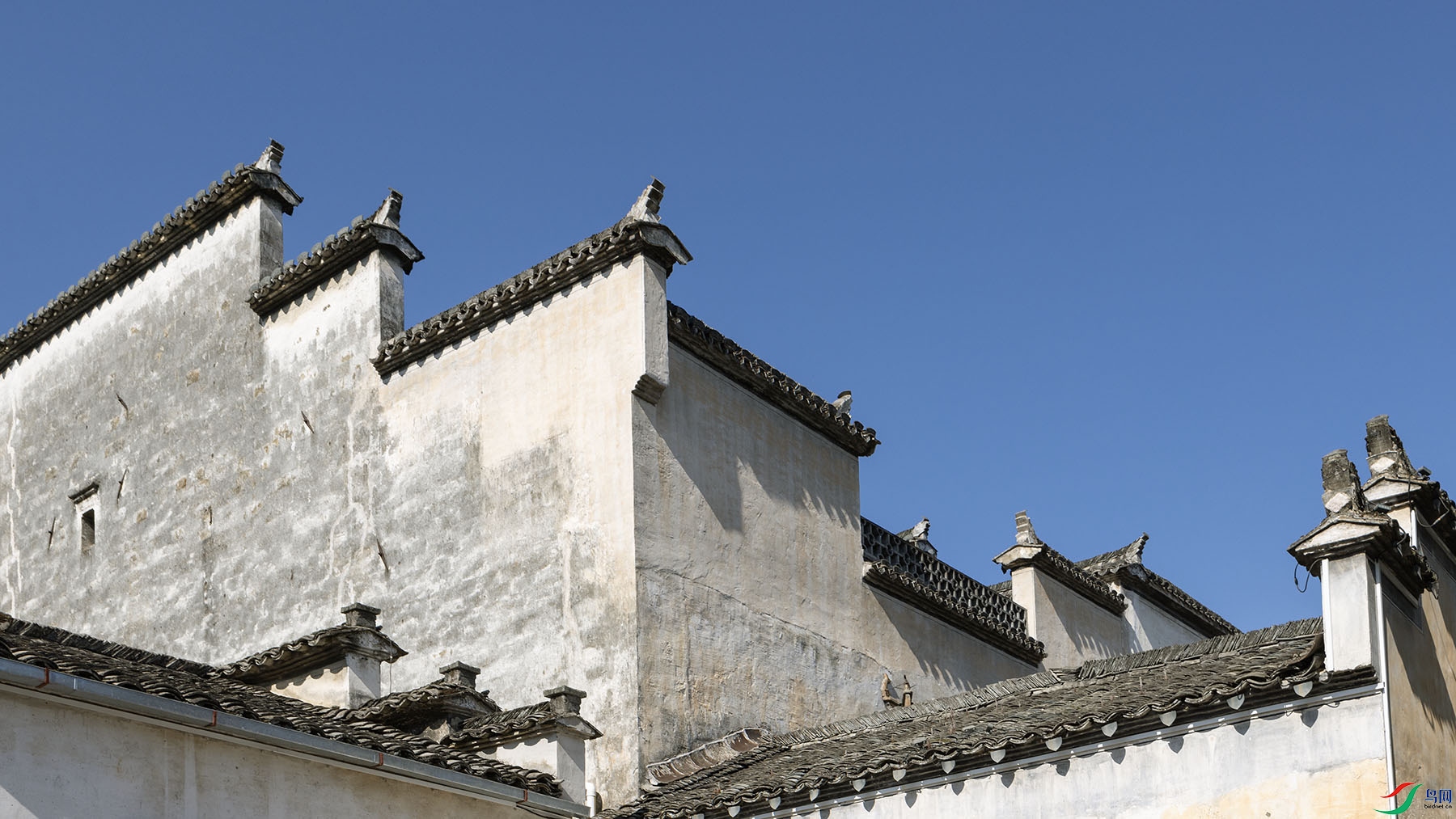 1P8A0268 ����.jpg