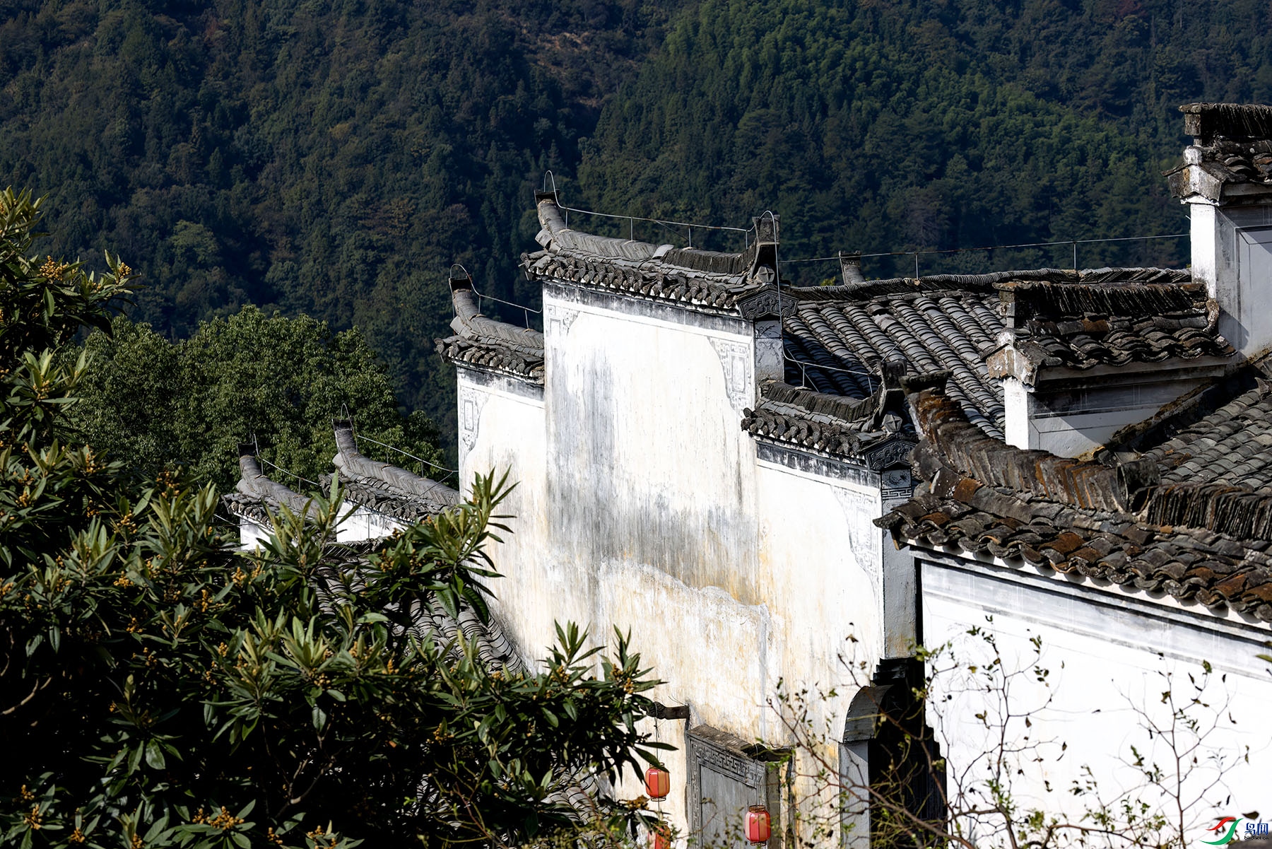 1P8A1083 ���� 2.jpg