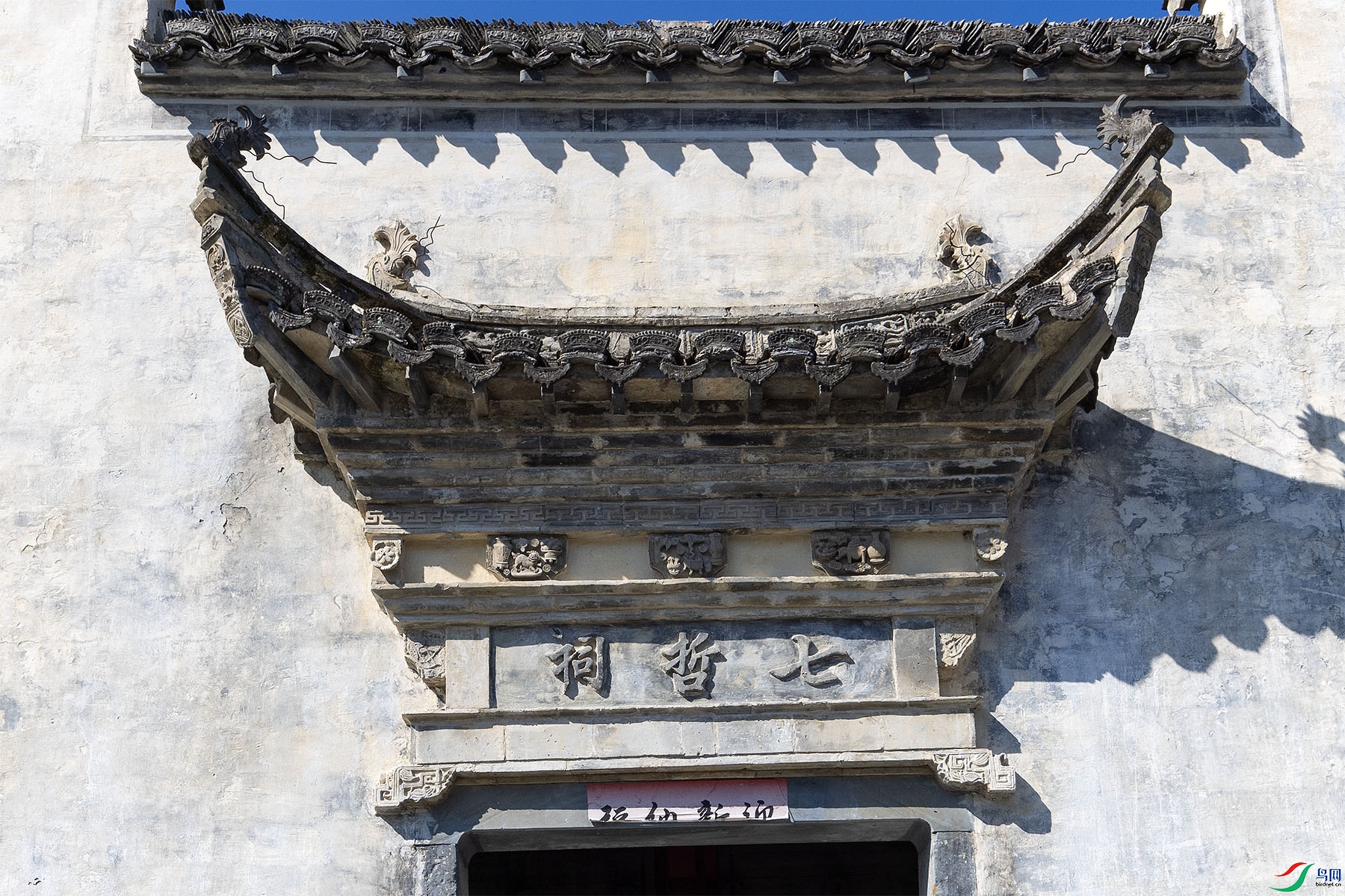 1P8A9937 ����.jpg