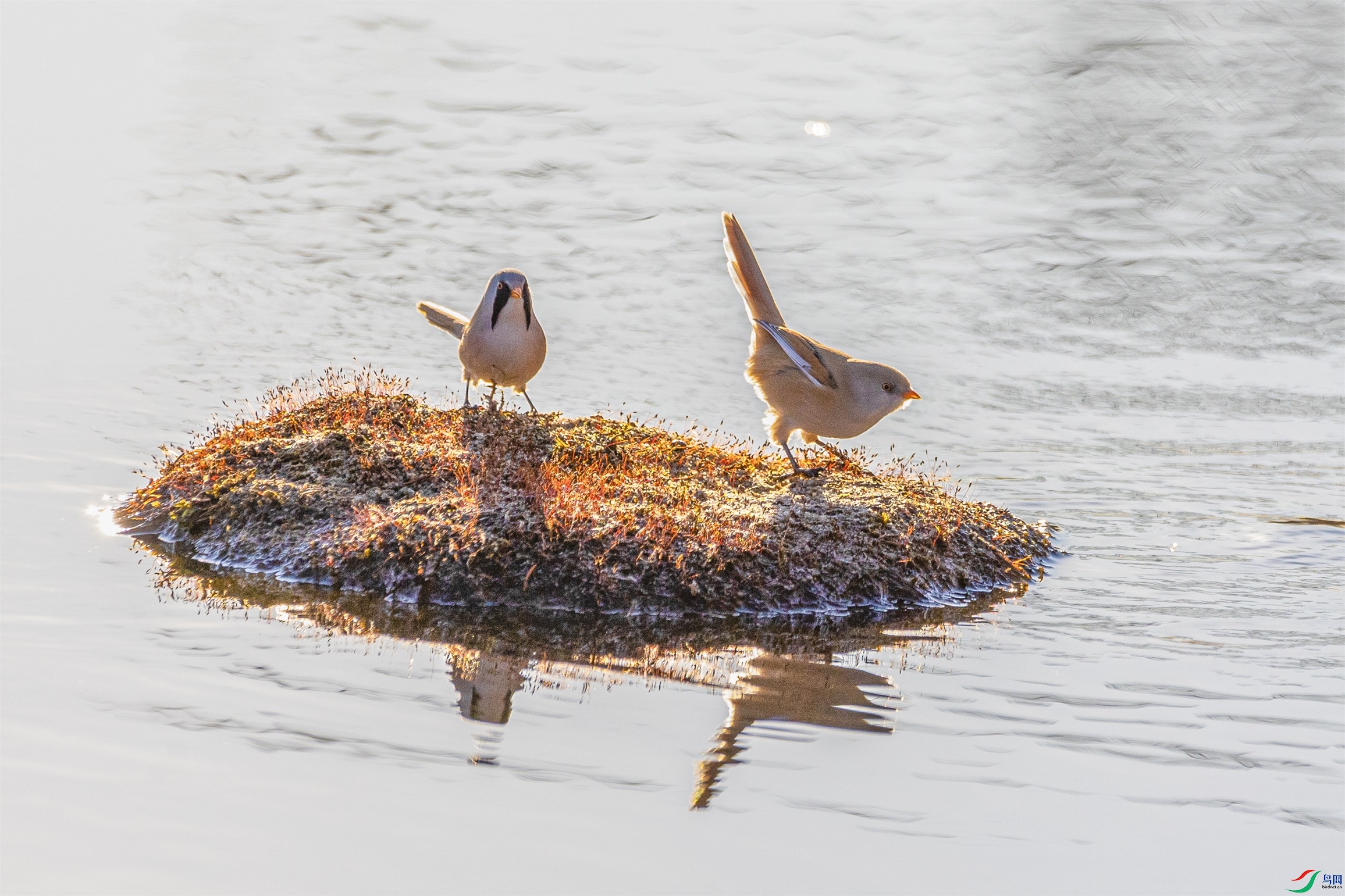 1K3A1742 ����1.jpg