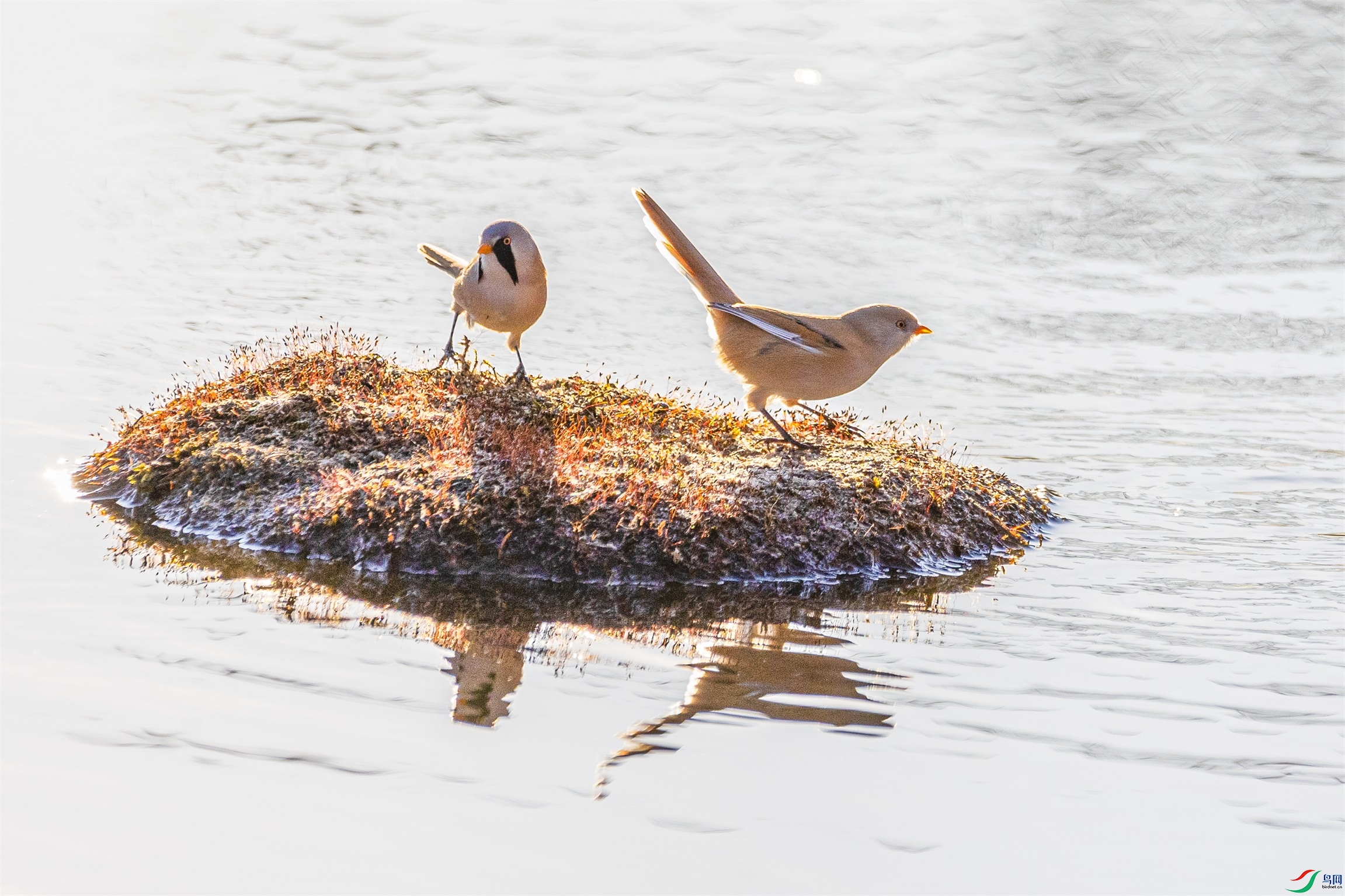 1K3A1745 ����1.jpg