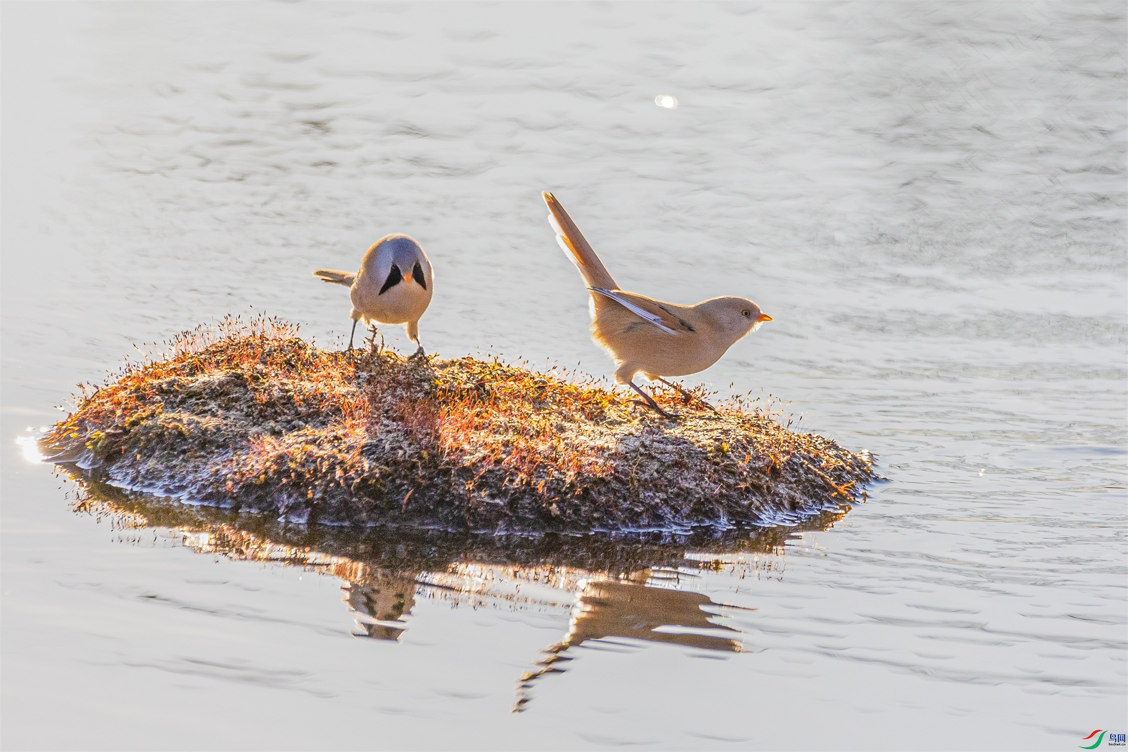 1K3A1744 ����1.jpg