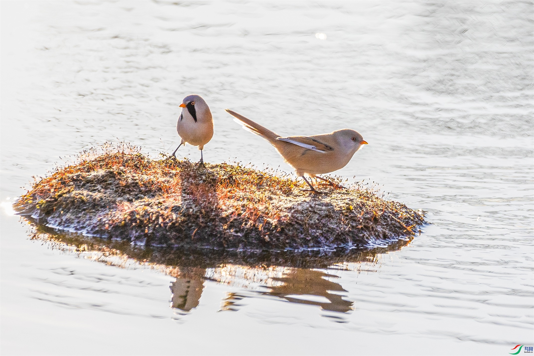 1K3A1749 ����1.jpg