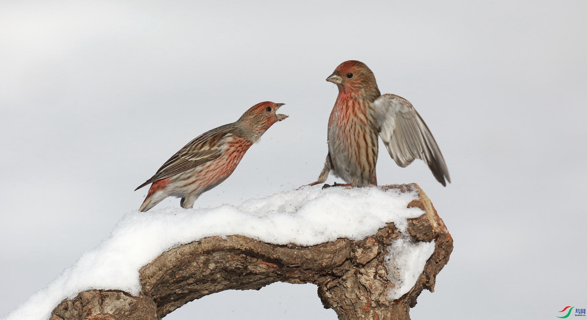 9G8A9499 ����.jpg