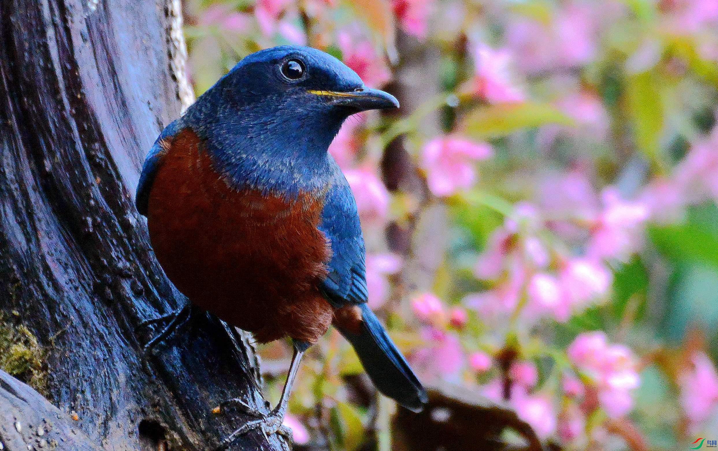 DSC_2297.JPG