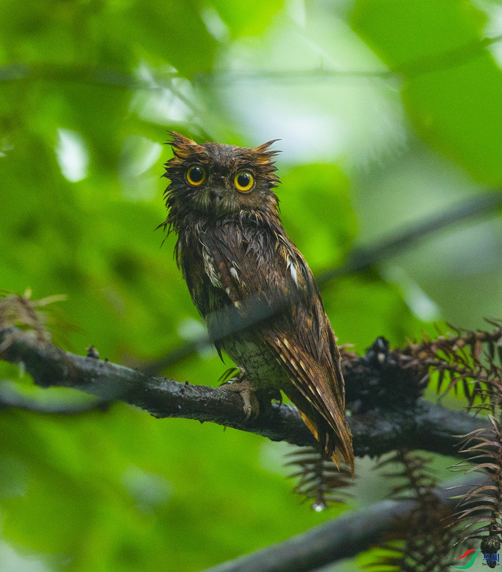 �������^ (7).jpg