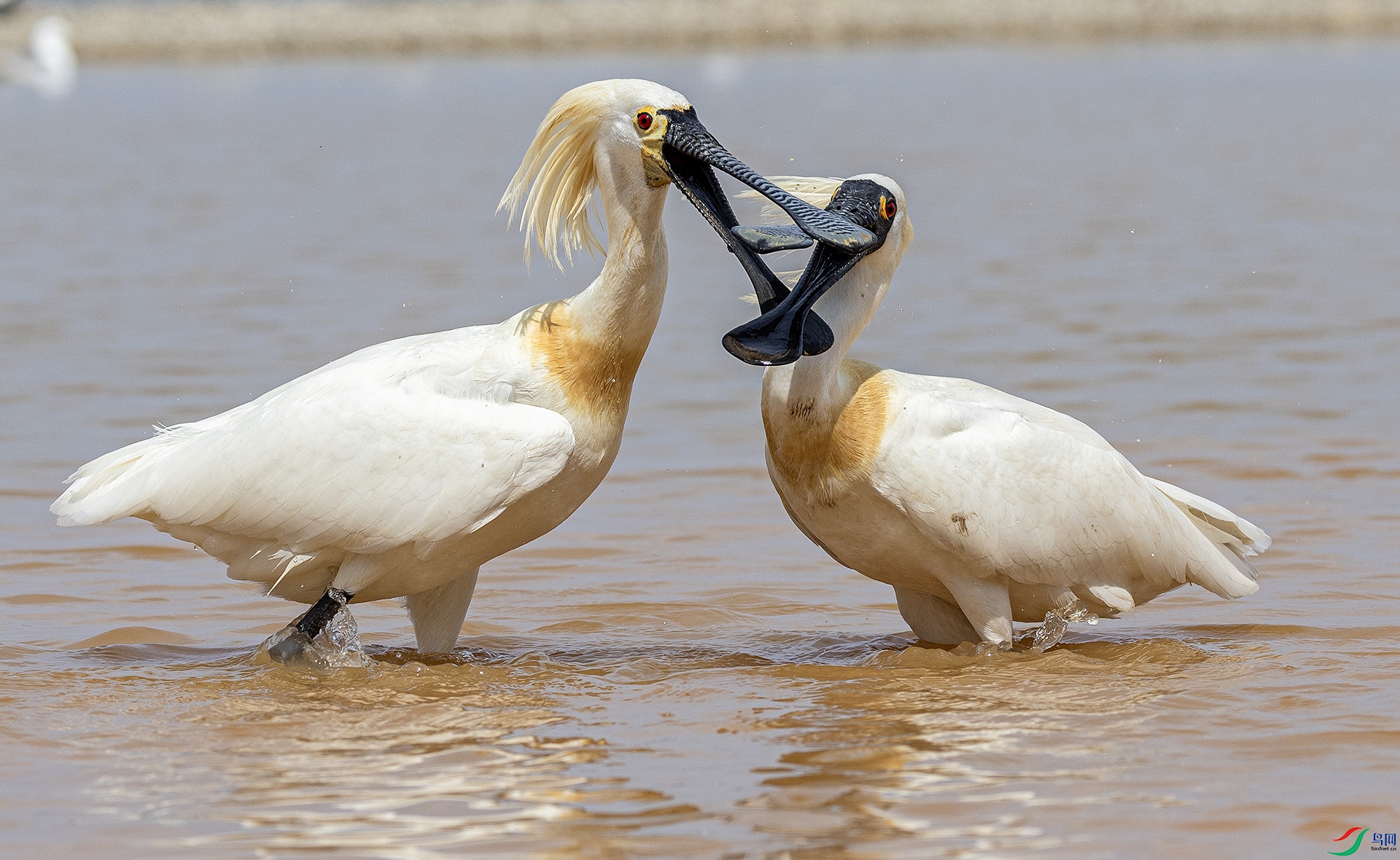 ����֮��