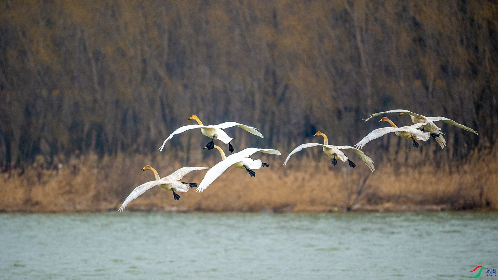 DSC_6748.jpg