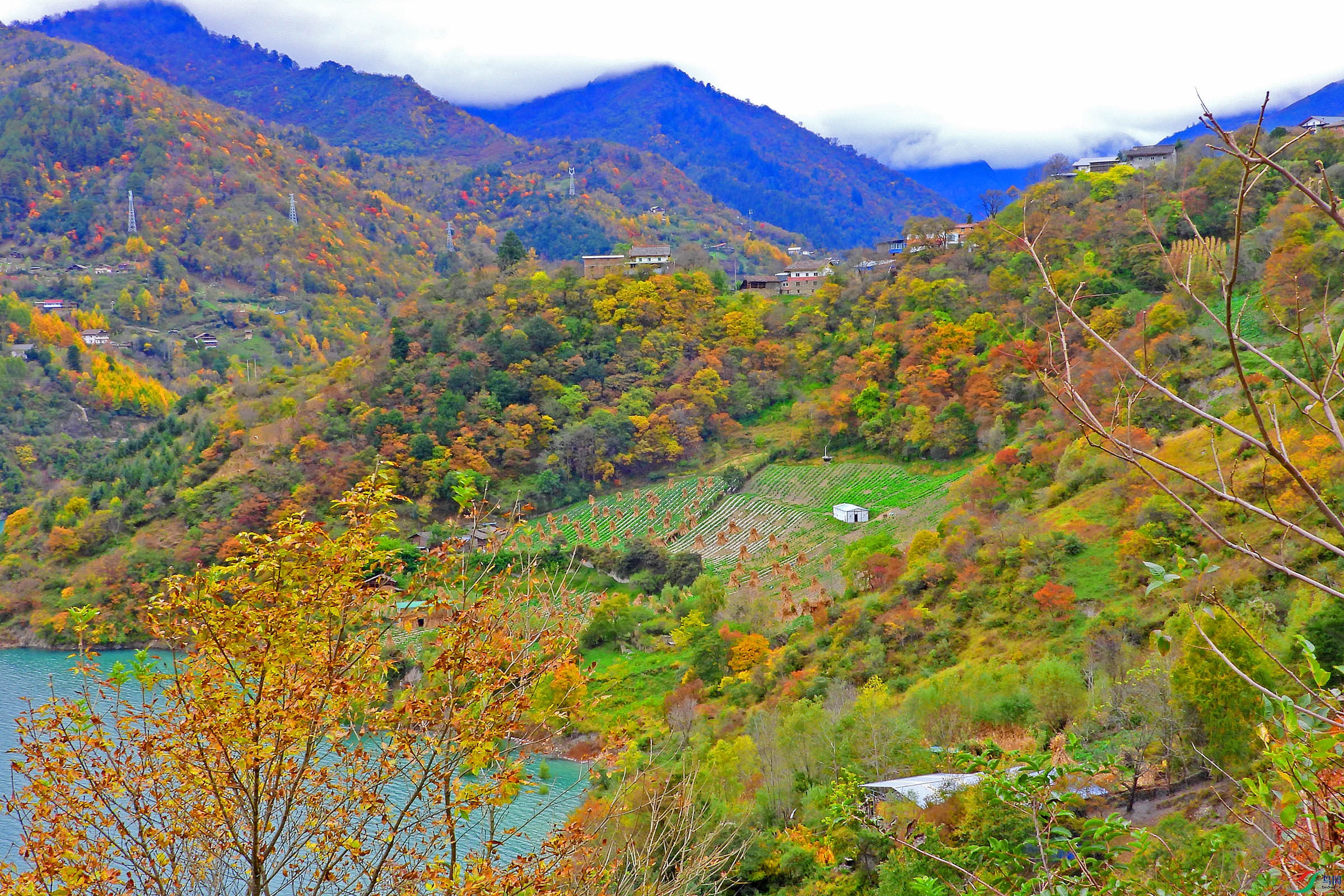 DSCN4839.jpg