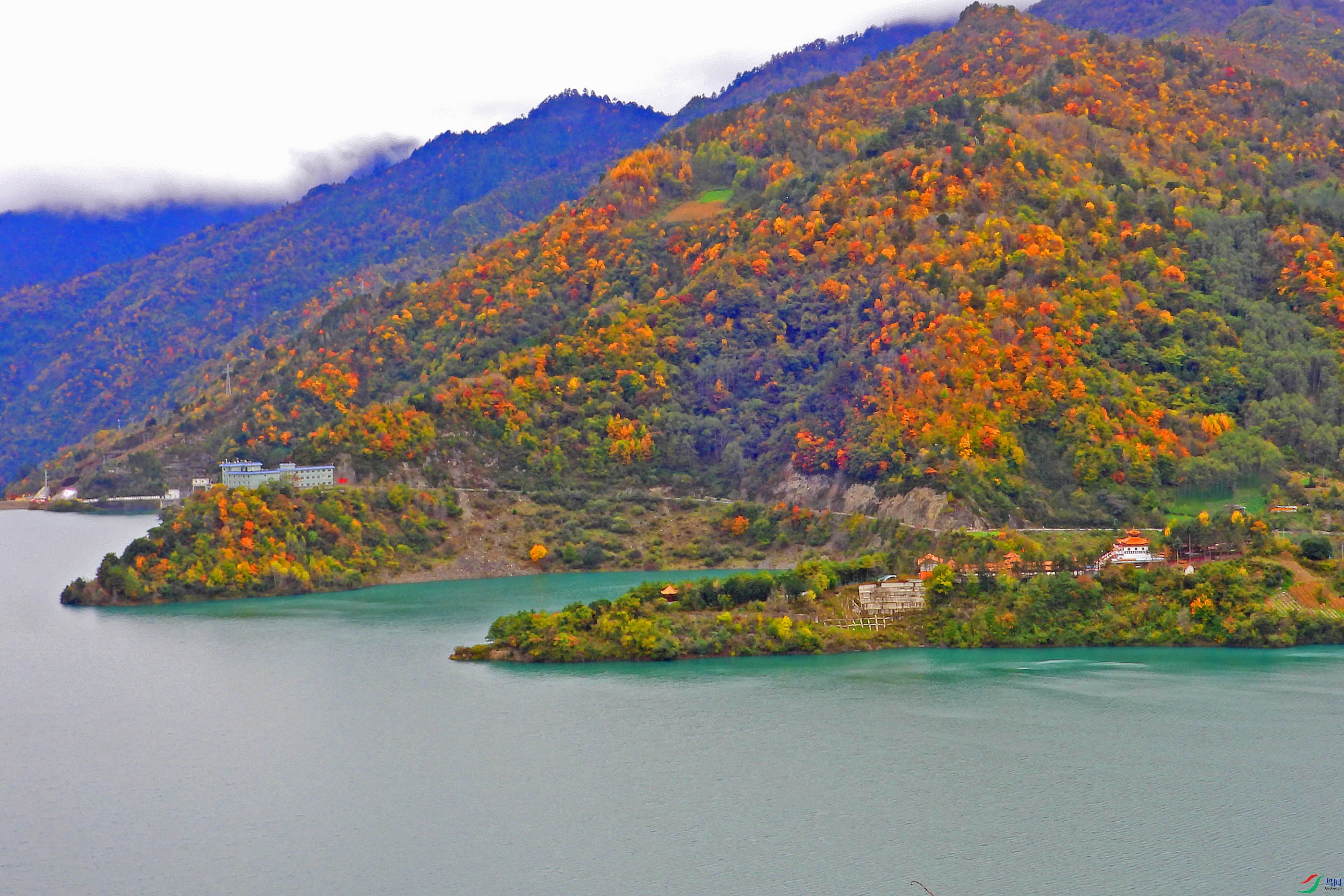 DSCN4849.jpg