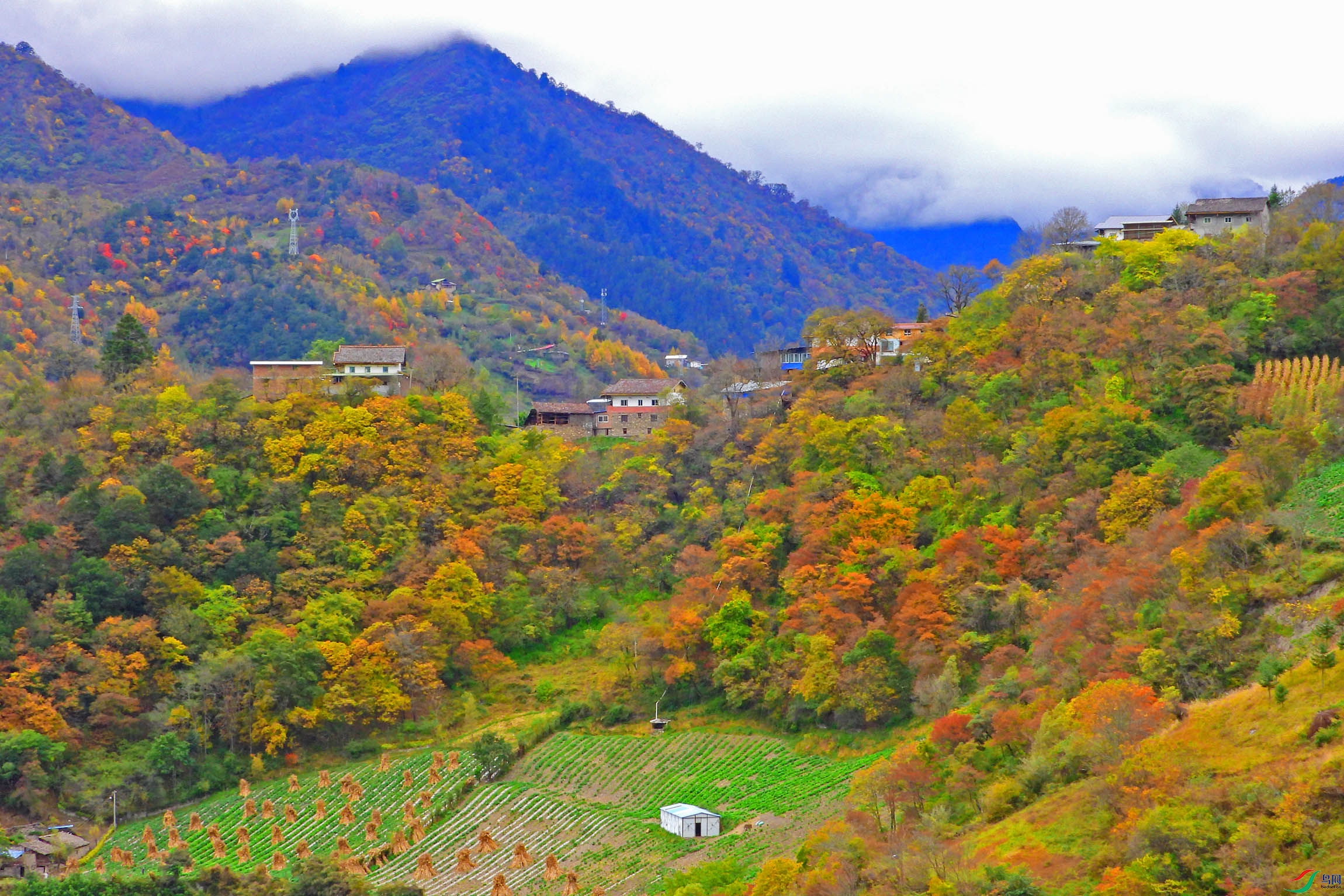 DSCN4840.jpg