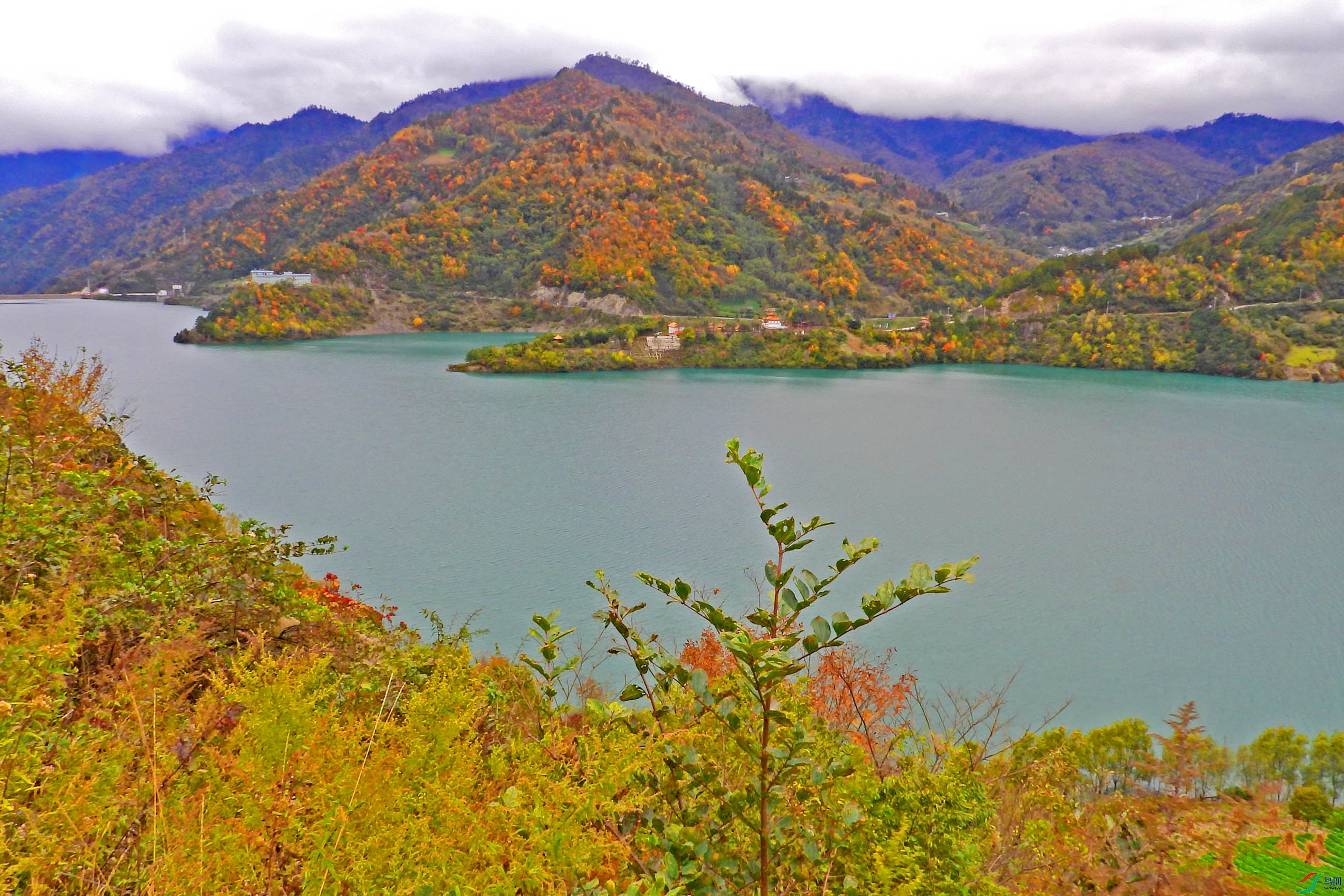 DSCN4843.jpg