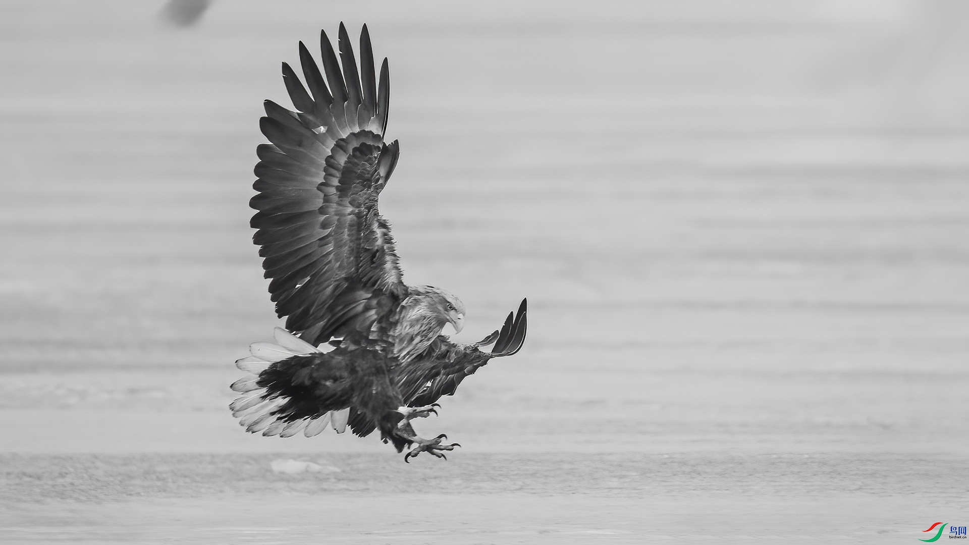 DSC07591 ����.jpg