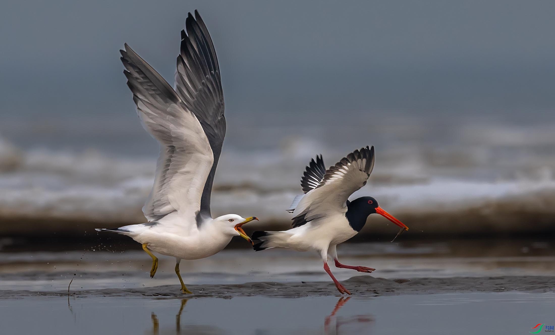 ��βŸ������