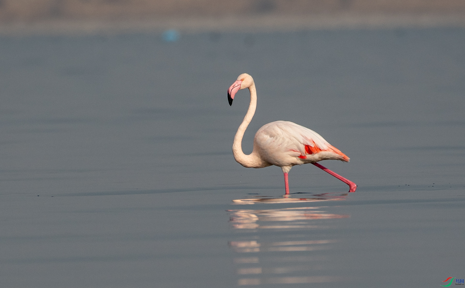 DSC_7594.jpg