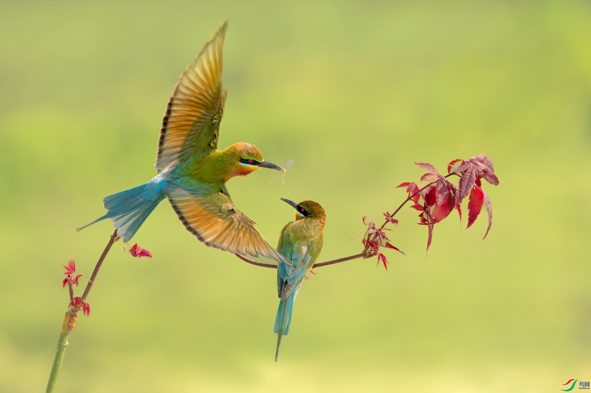 B86I7678 _����.jpg