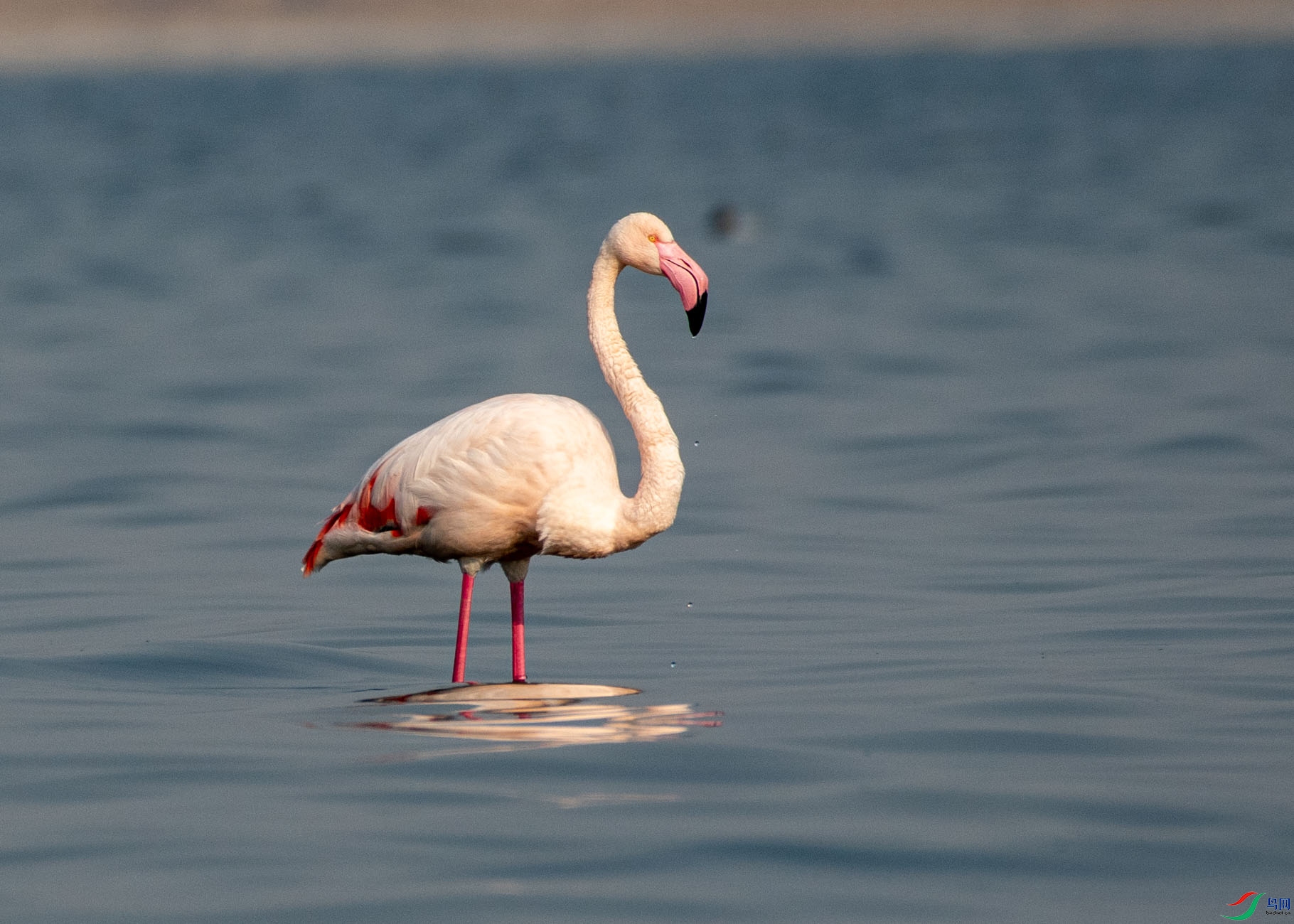 DSC_7708.jpg