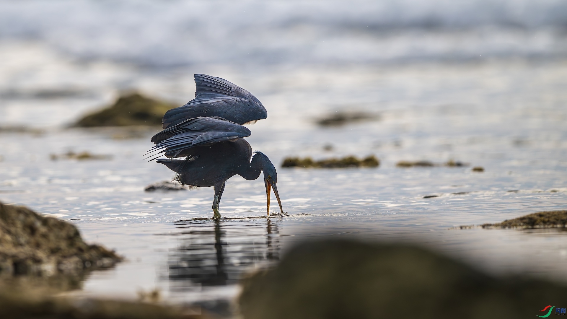 1_XXL8961-����ǿ-NR ����.jpeg