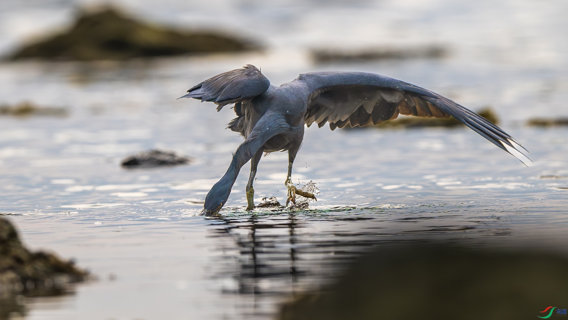 1_XXL8969-����ǿ-NR ����.jpeg