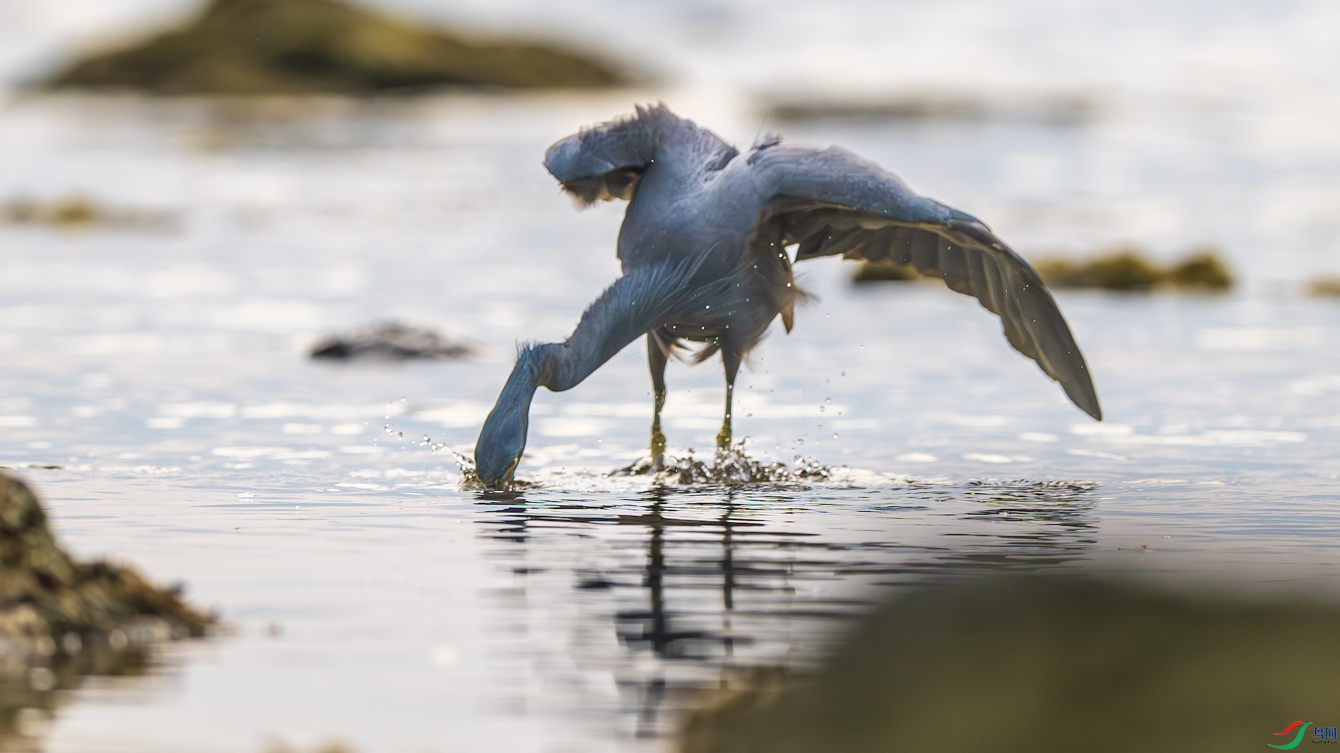 1_XXL8970-����ǿ-NR ����.jpeg