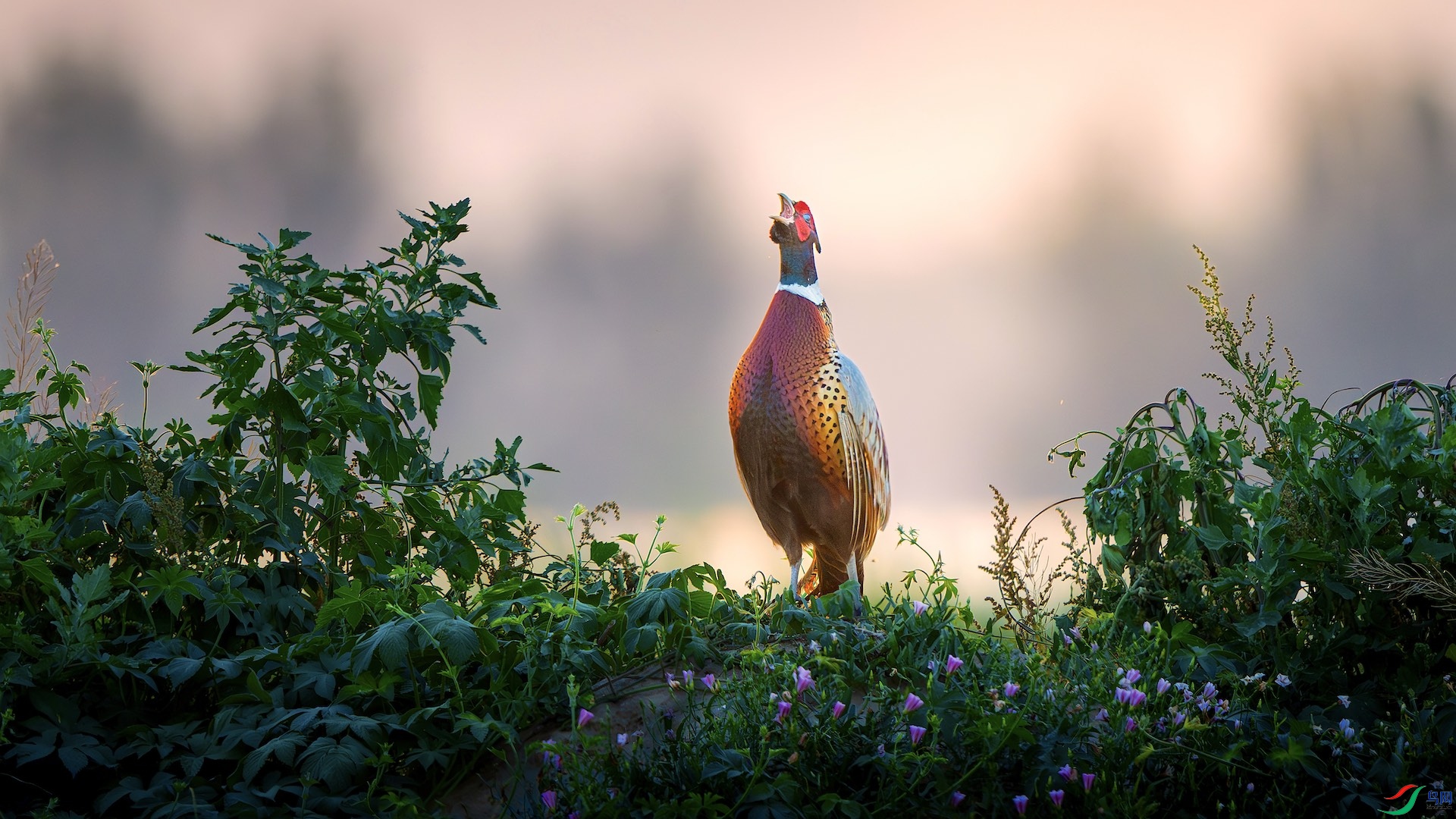 55_DSC1347-����ǿ-NR ���� 2.jpeg