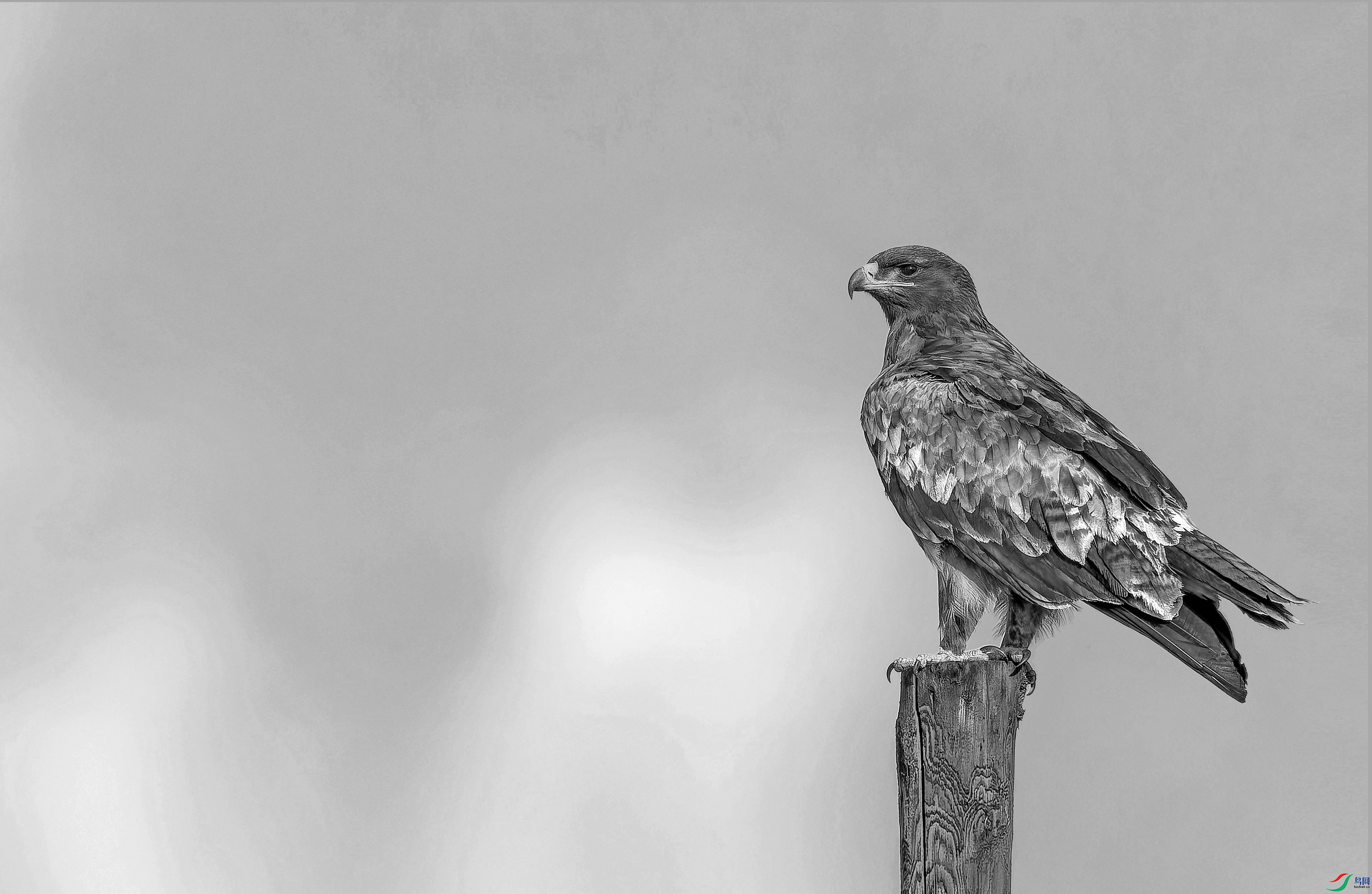 ��ԭ�� (15)-1-1.jpg