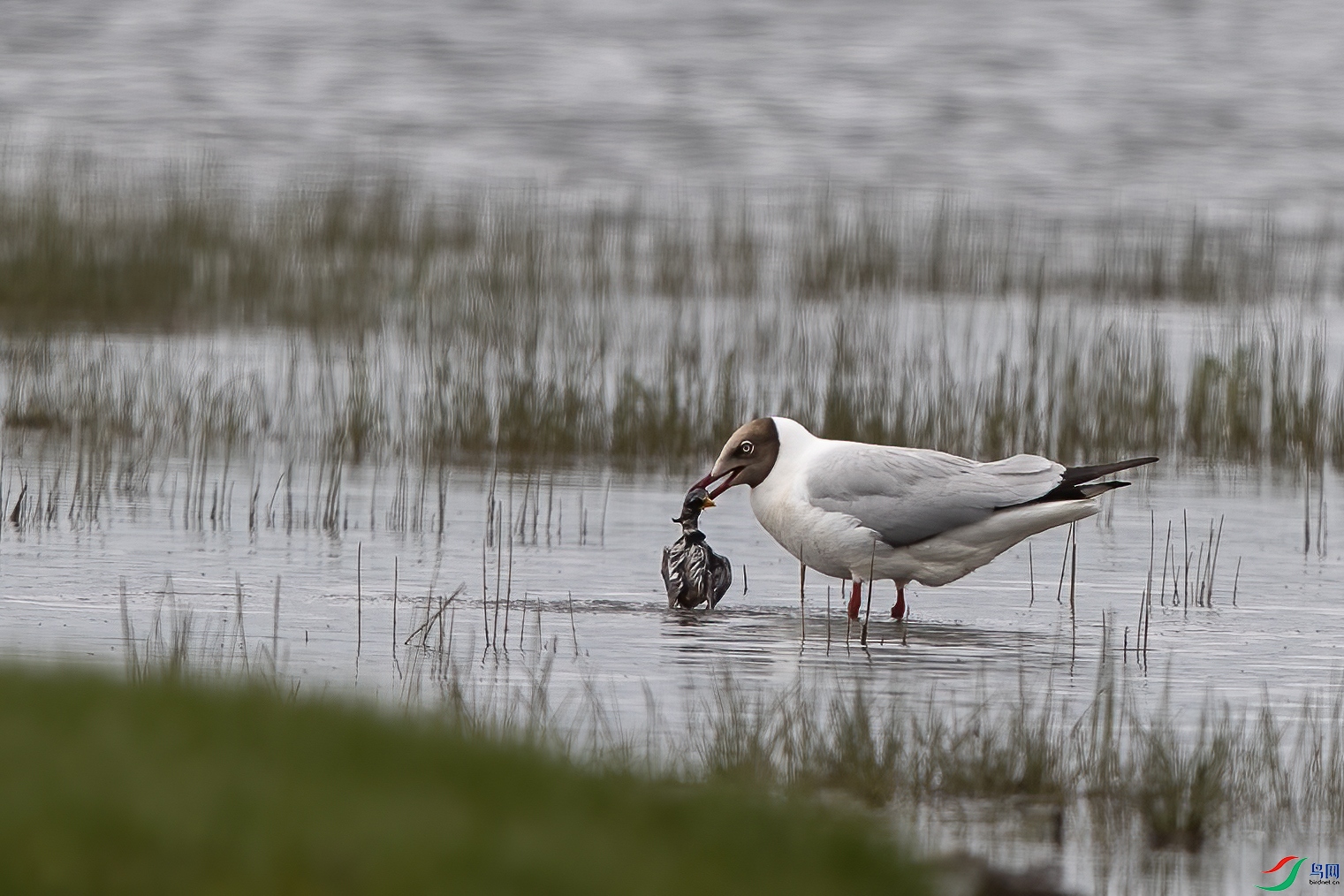 A15I3992 ����.jpg