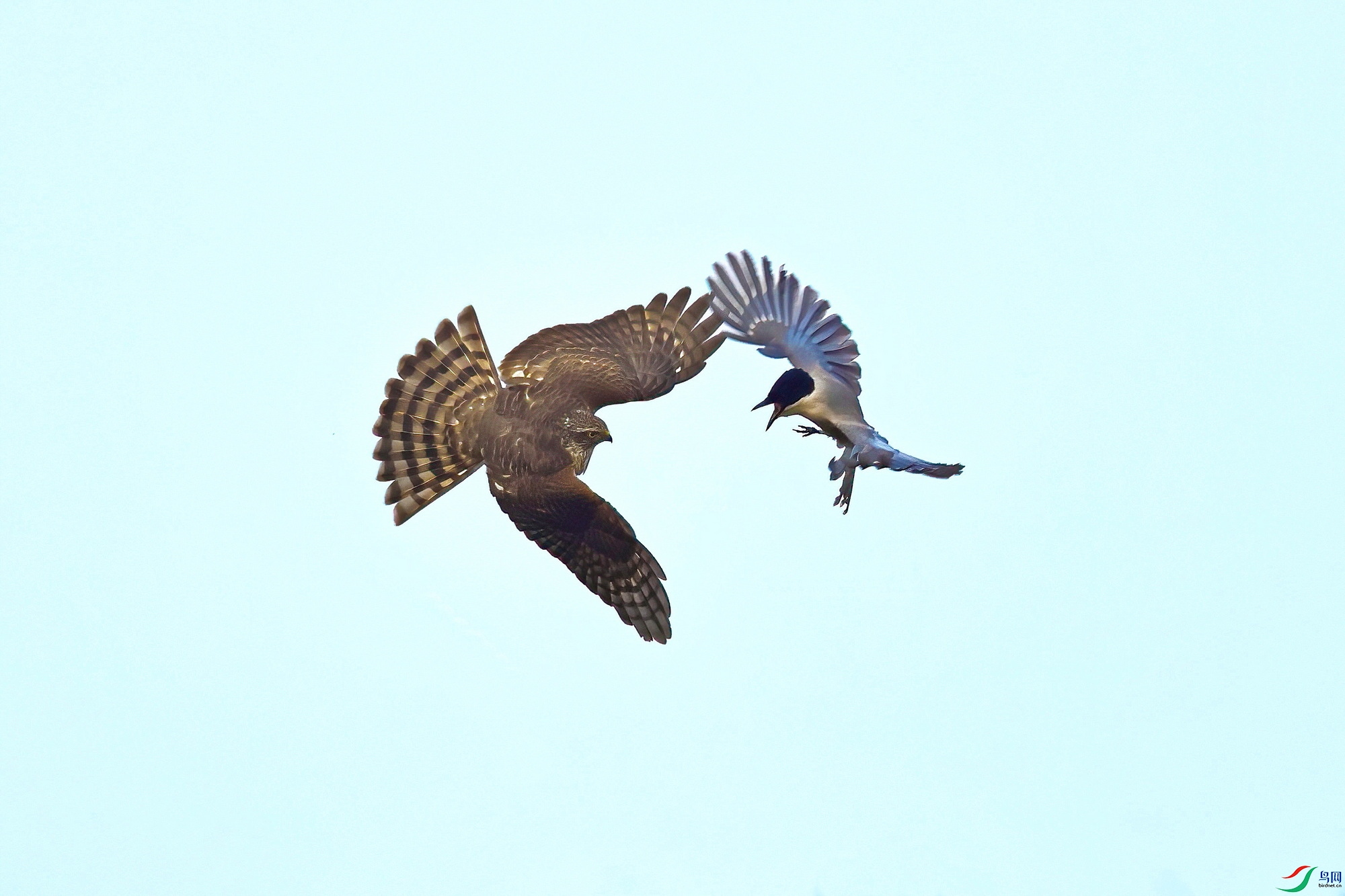 IMG_2891-1.JPG