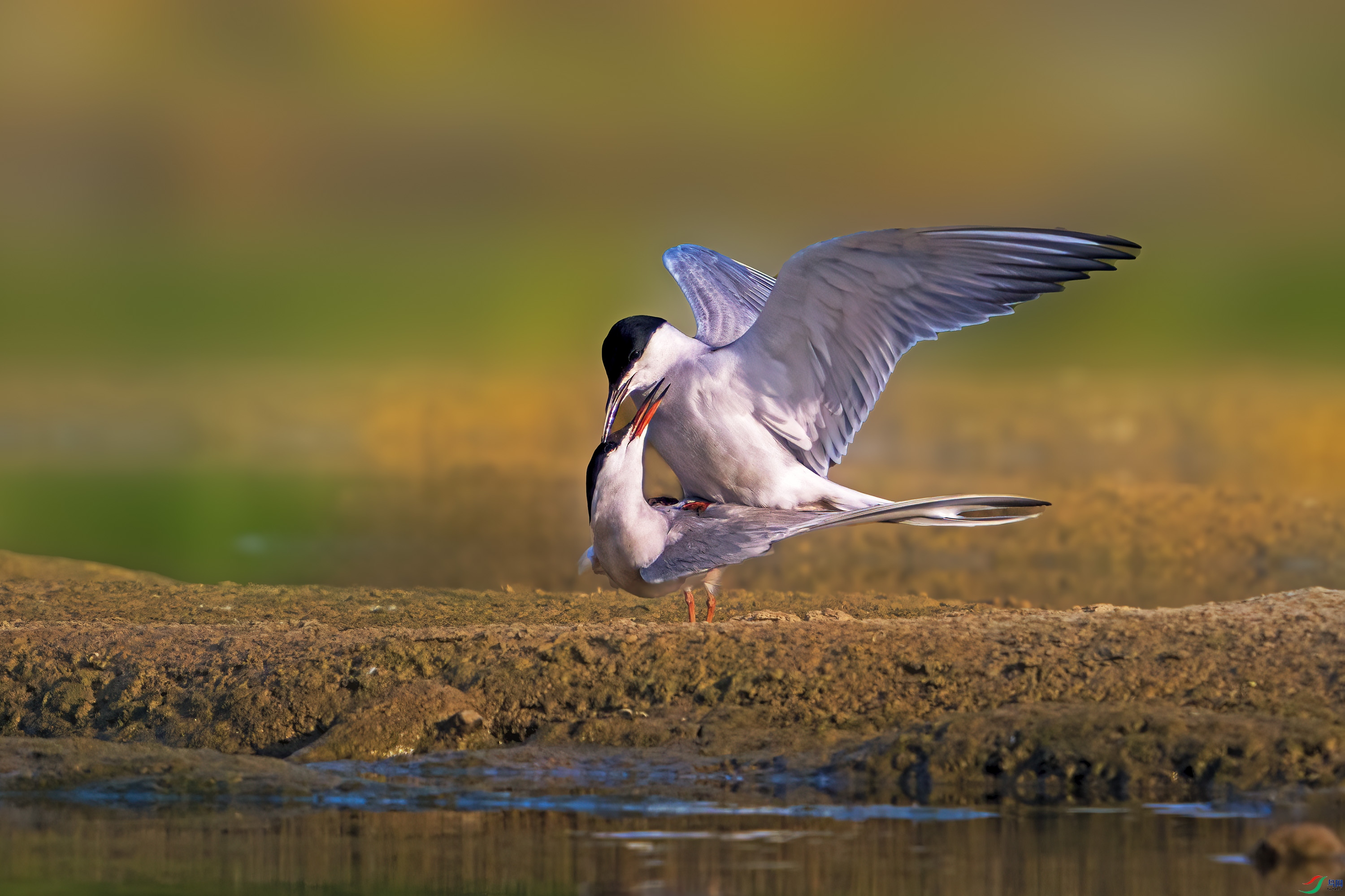 DSL_0628-2.jpg