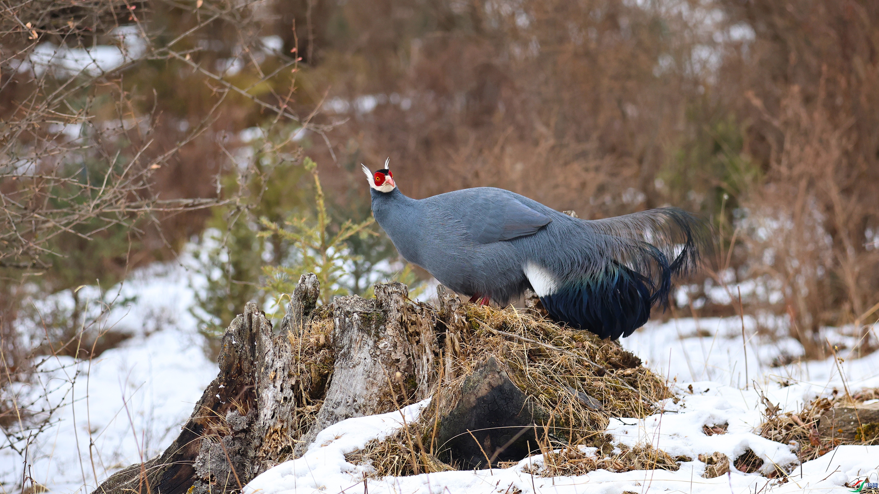 7X5A0442 ����44444.jpg