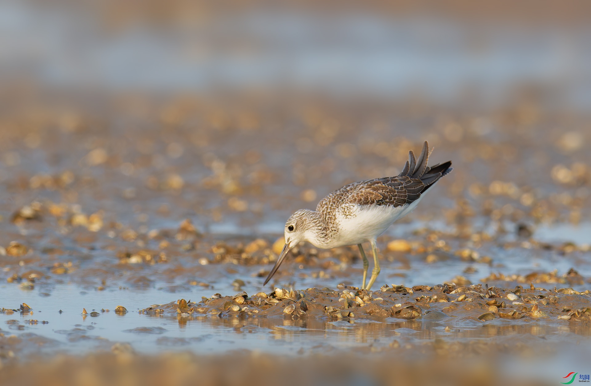 DSC_7980-1.jpg