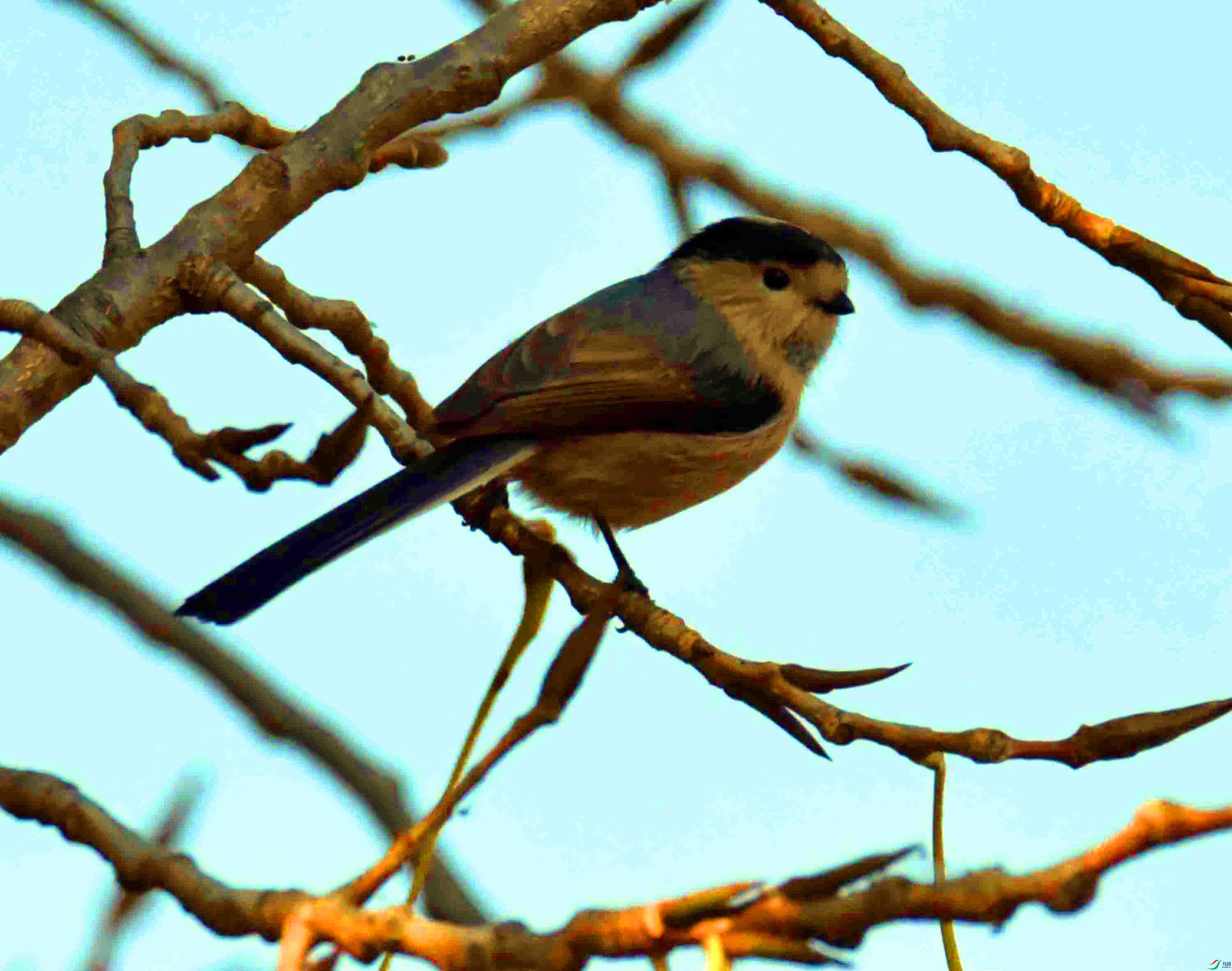 DSC_3029.JPG