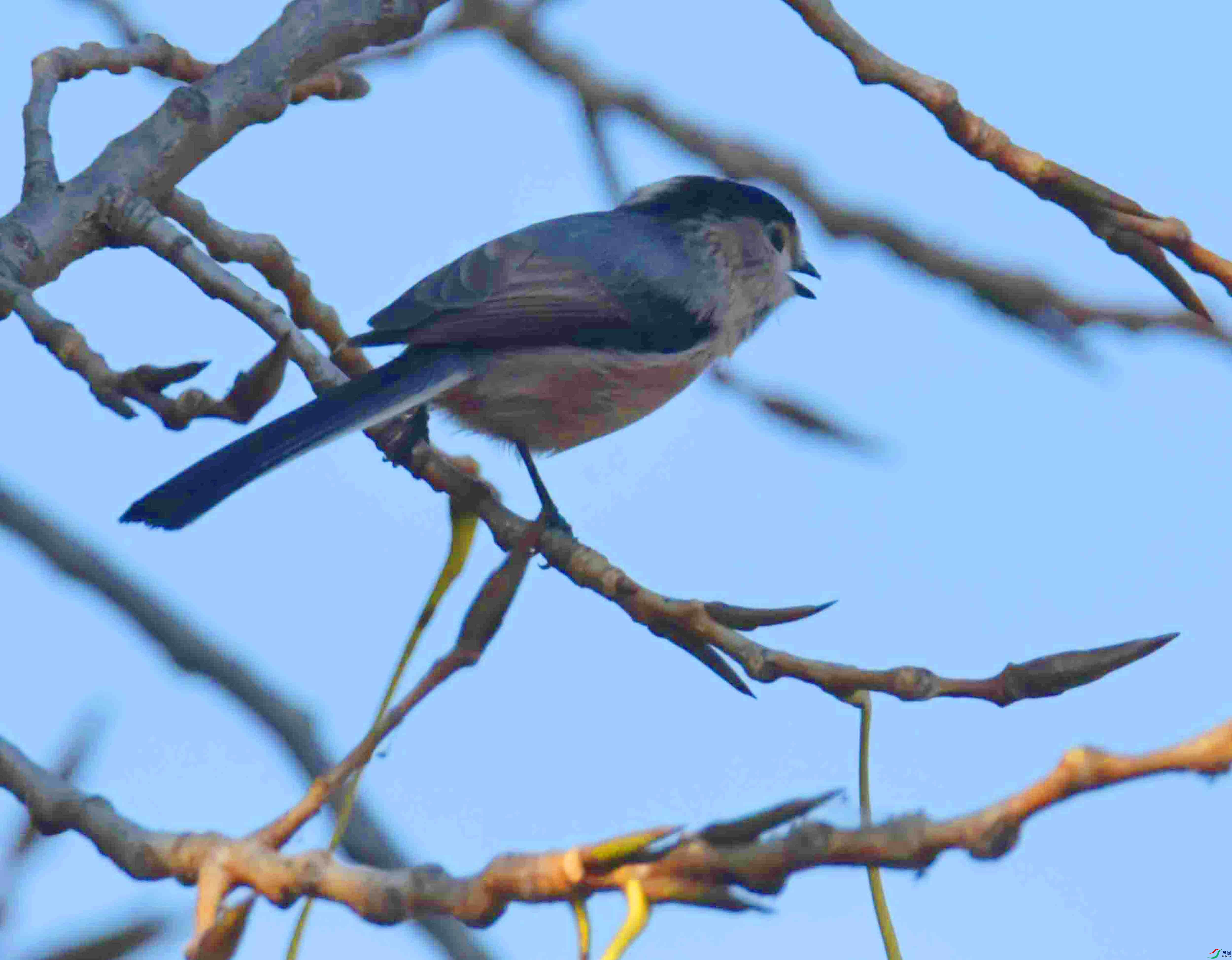 DSC_3024.JPG