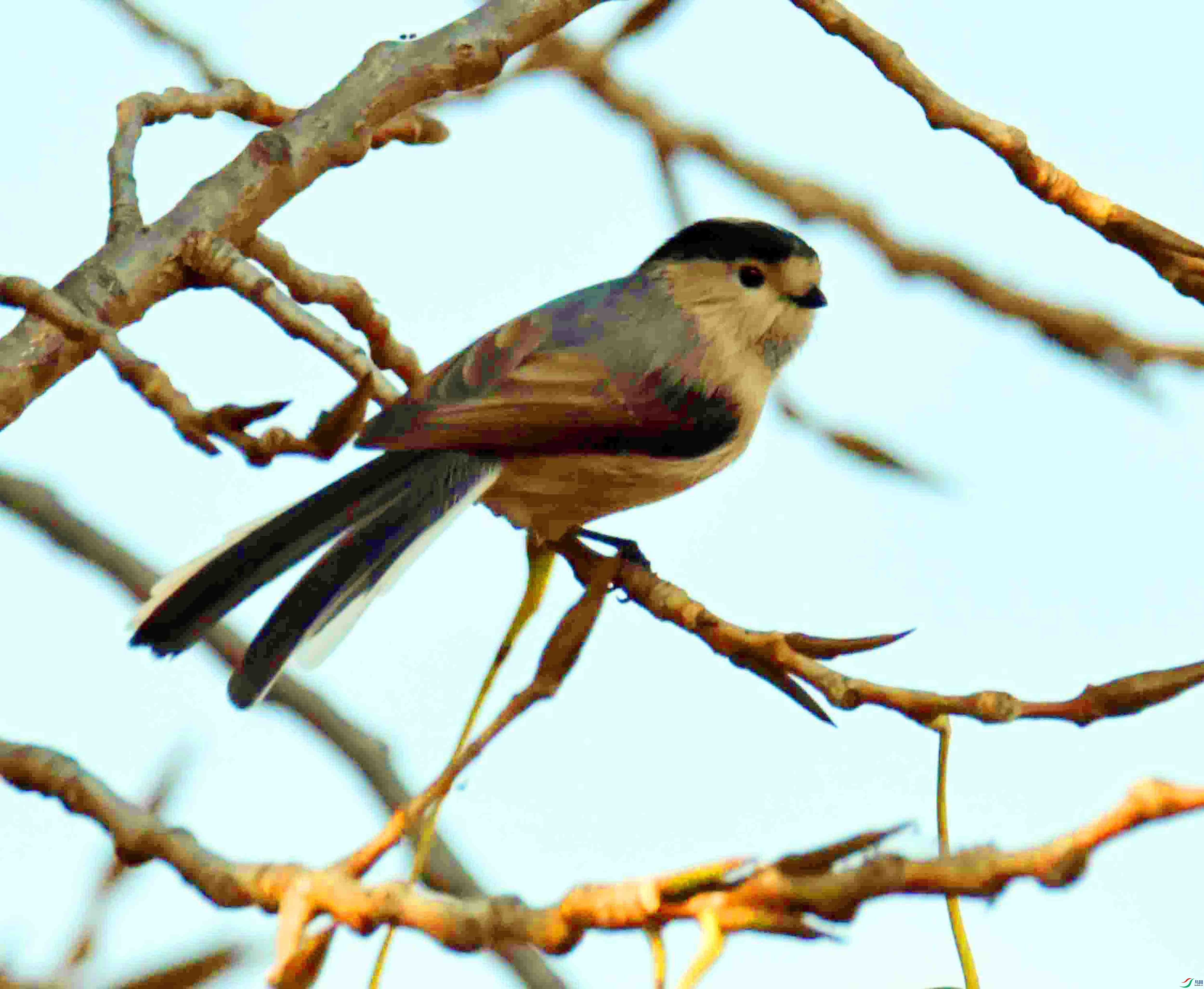 DSC_3031.JPG