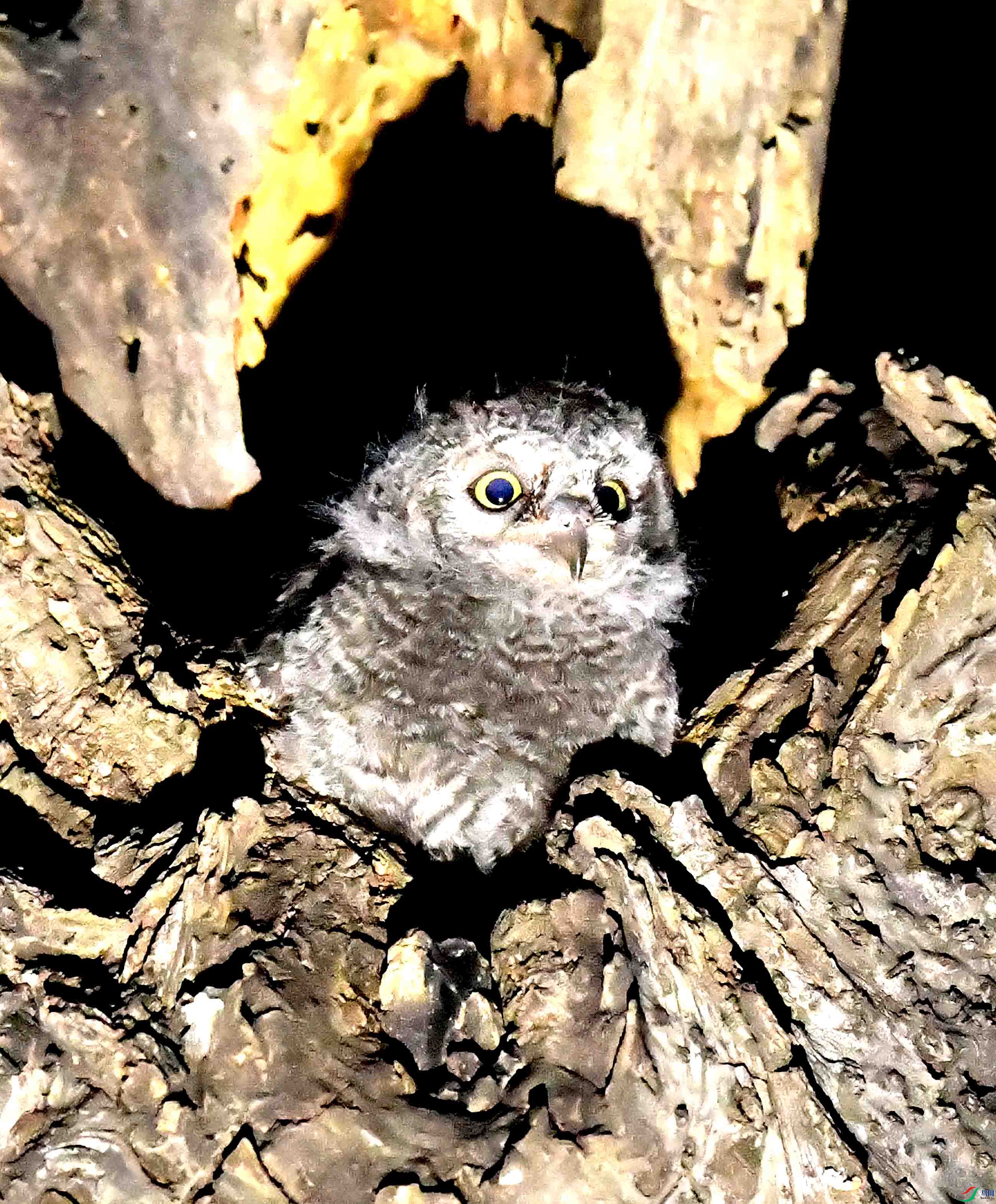 DSC_4501.JPG
