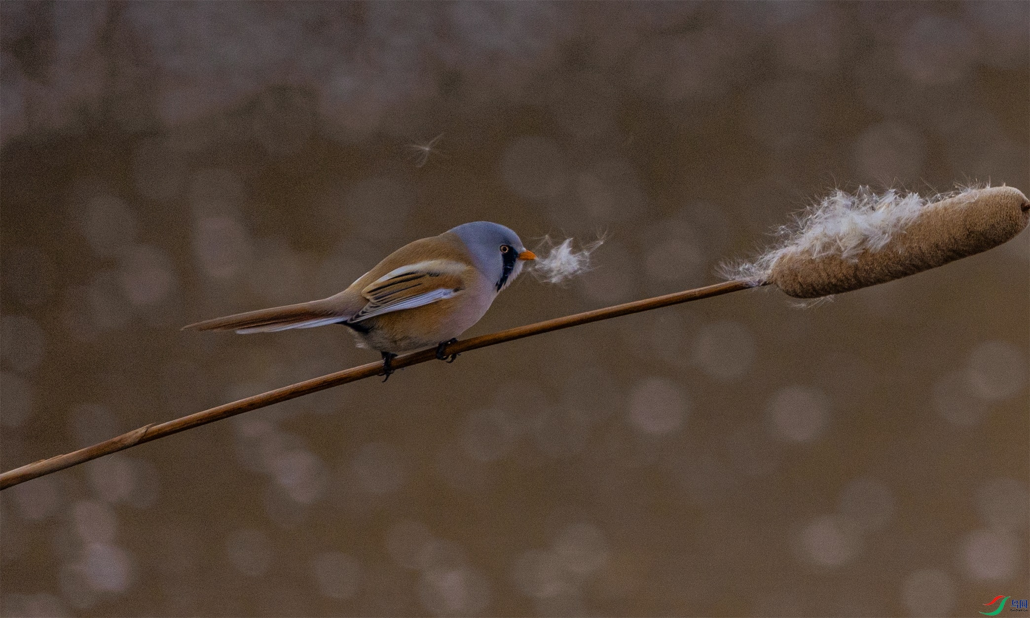 1K3A4940 ����1.jpg