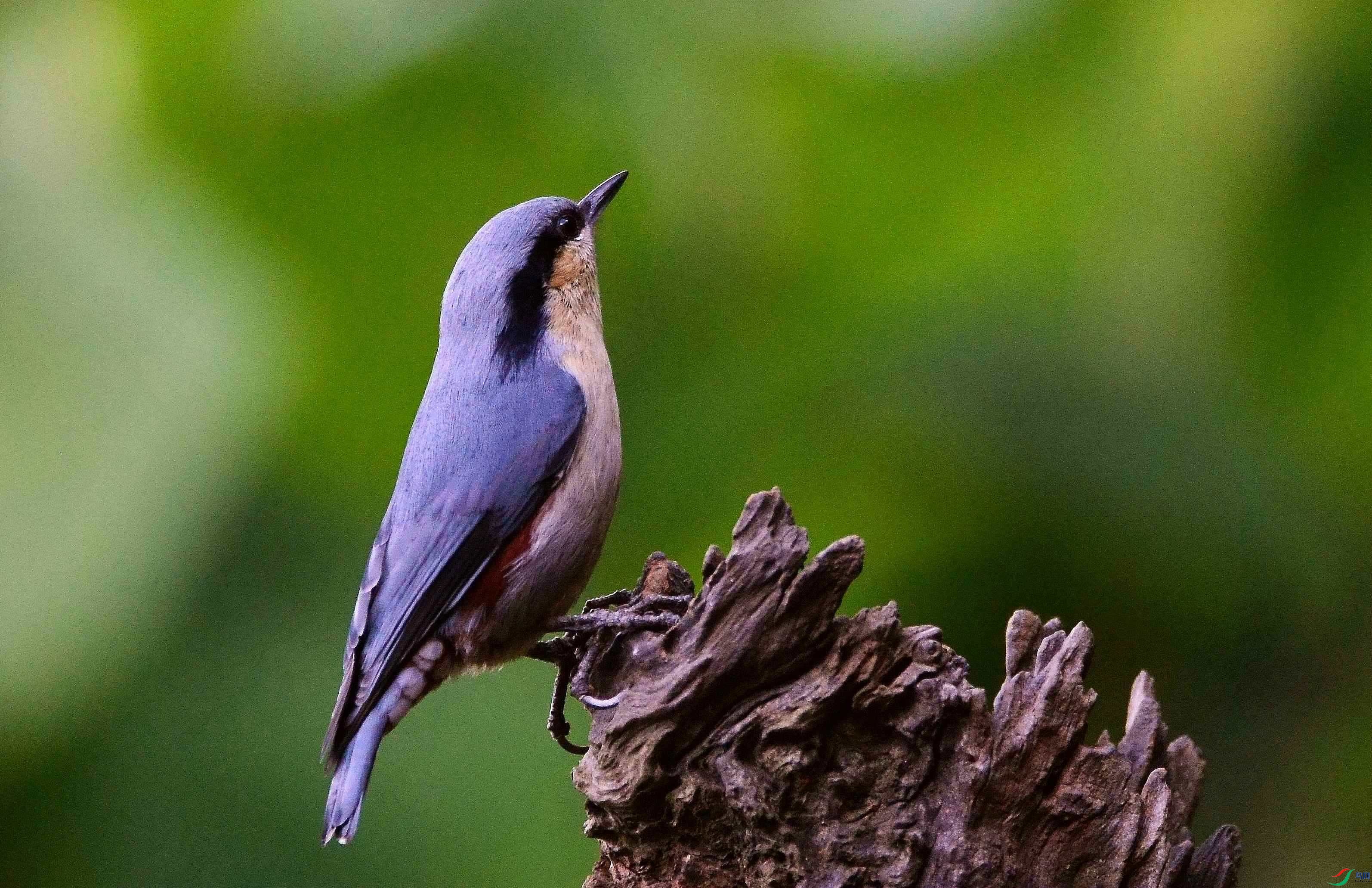DSC_9718.JPG