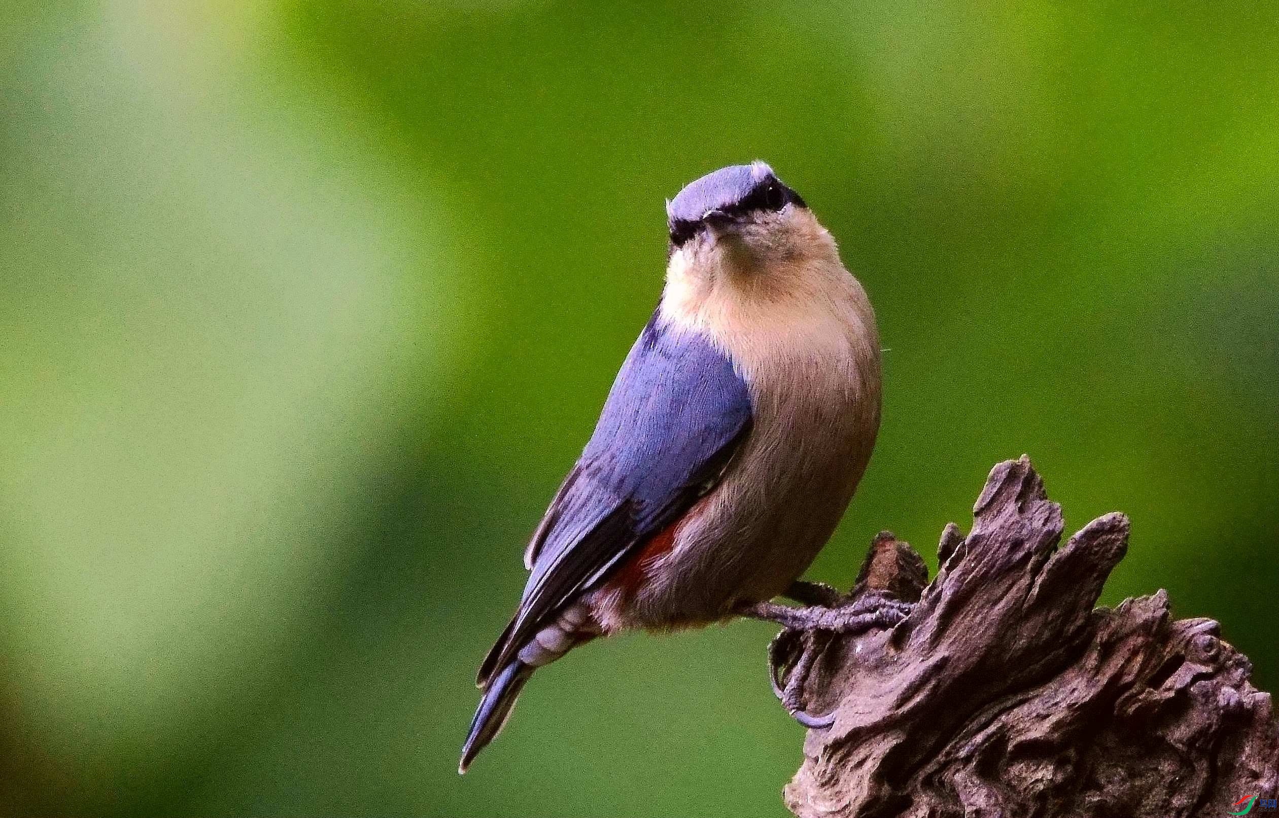 DSC_9710.JPG