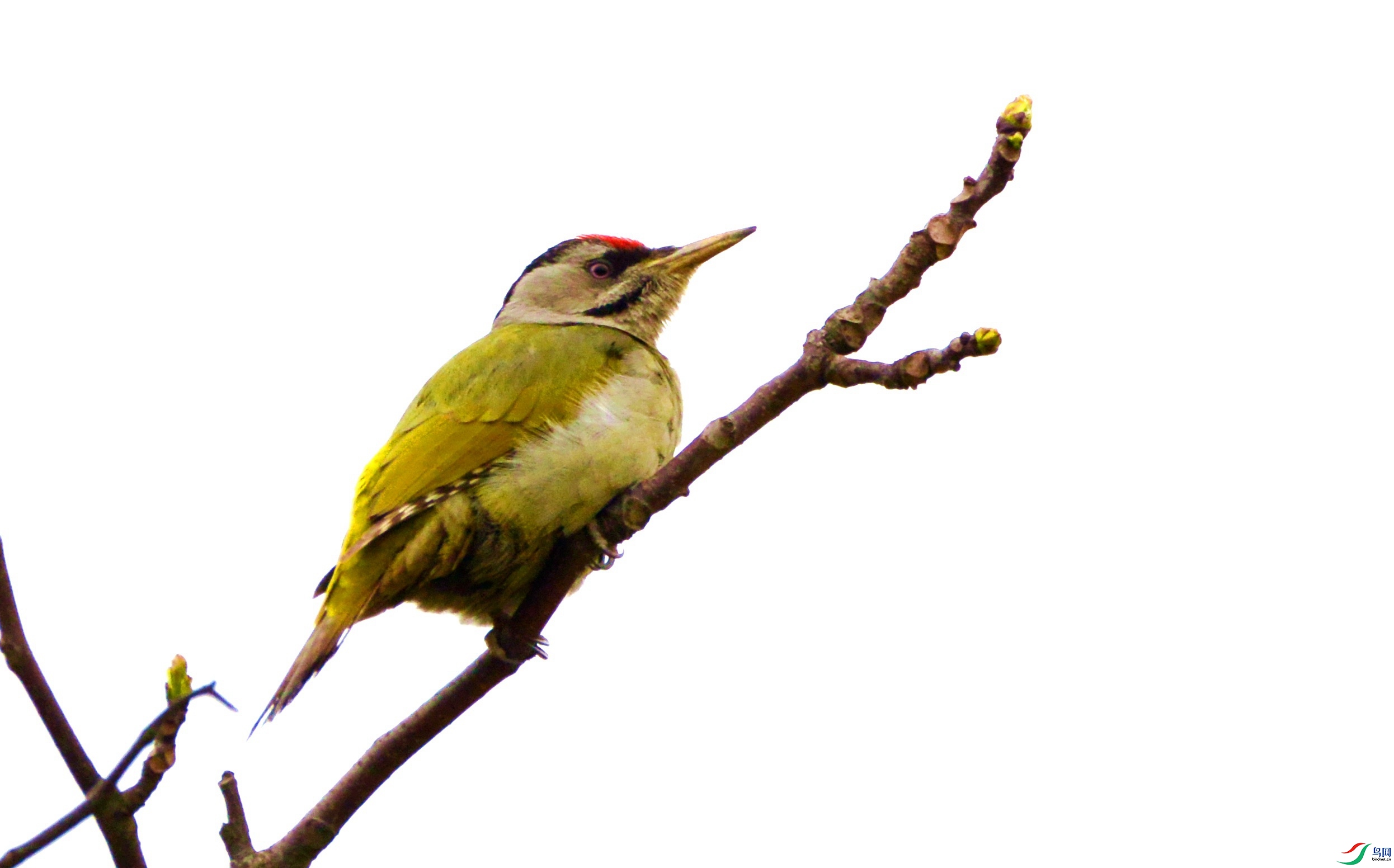 DSC_3457.JPG