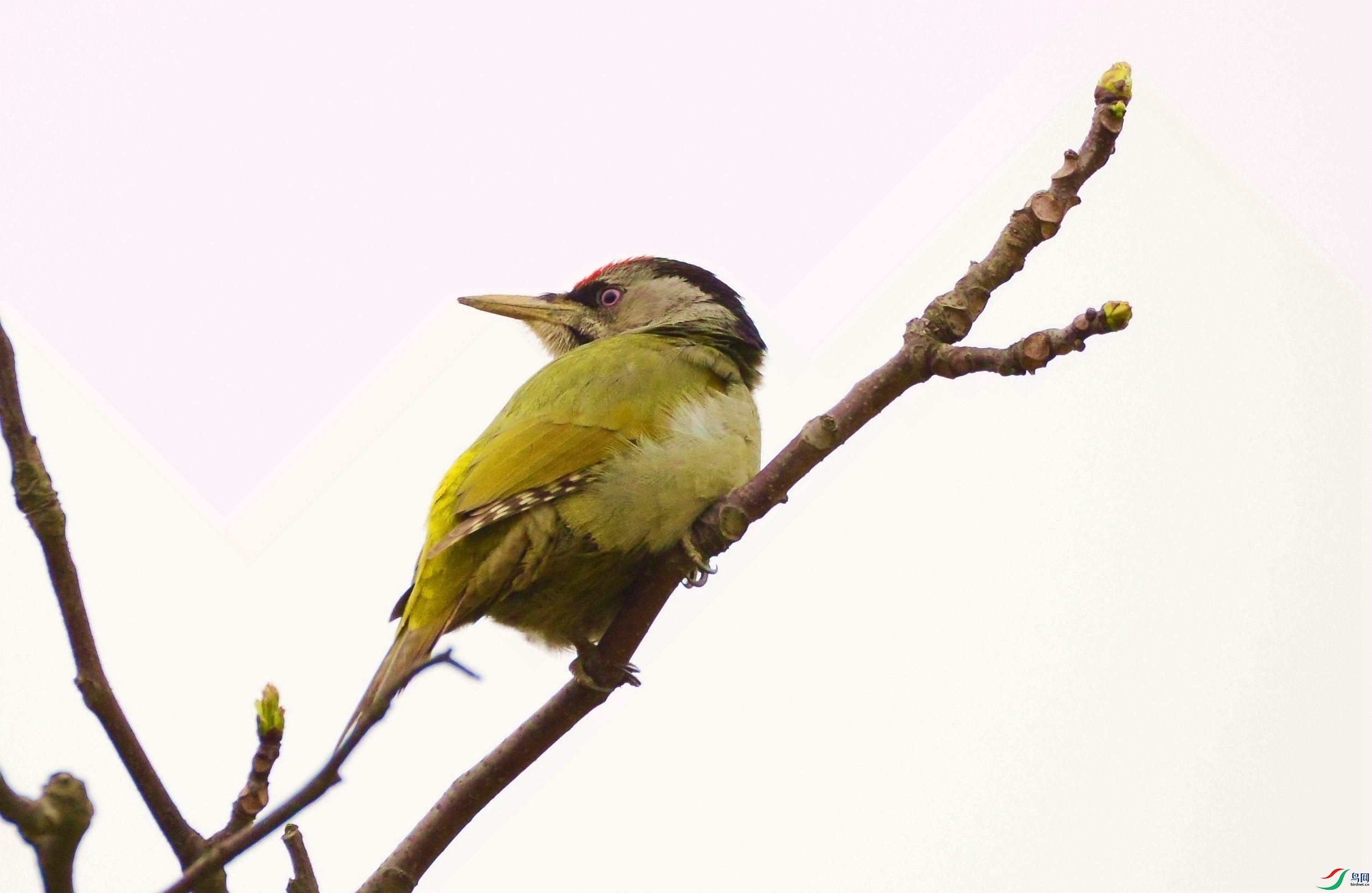 DSC_3511.JPG