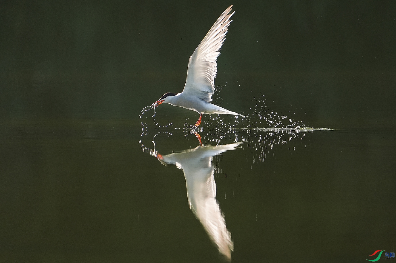 DSC02244 ����.jpg