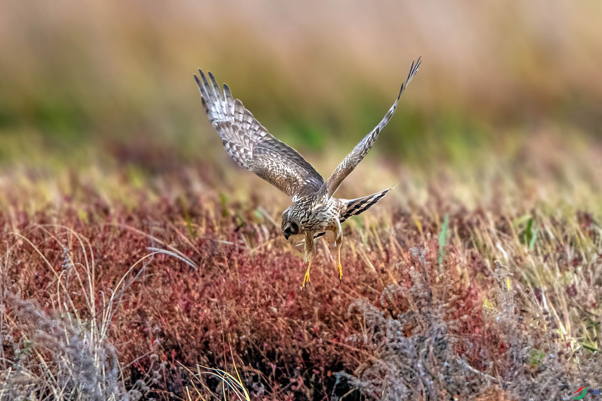 _AUU2437��Ѱ(23.12.13).jpg