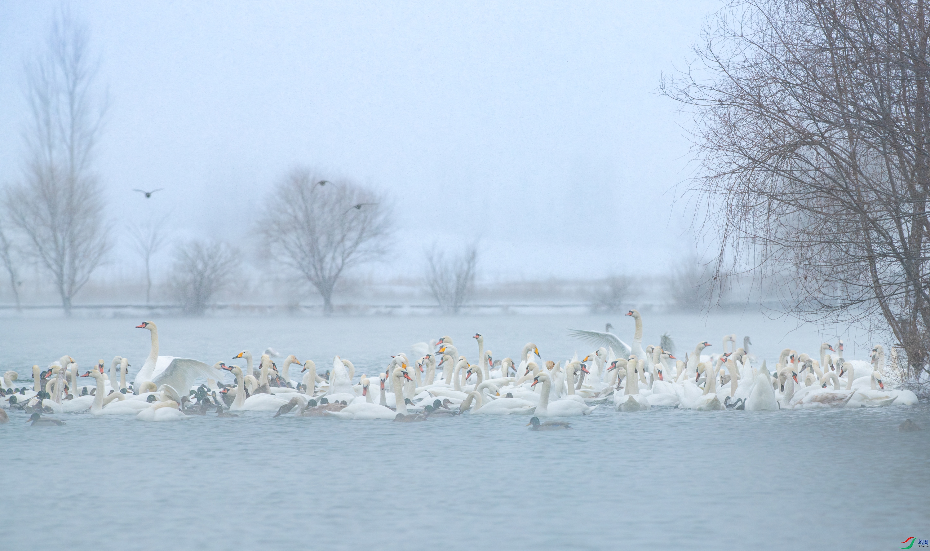 DSC_7676-����ǿ-NR-11.jpg