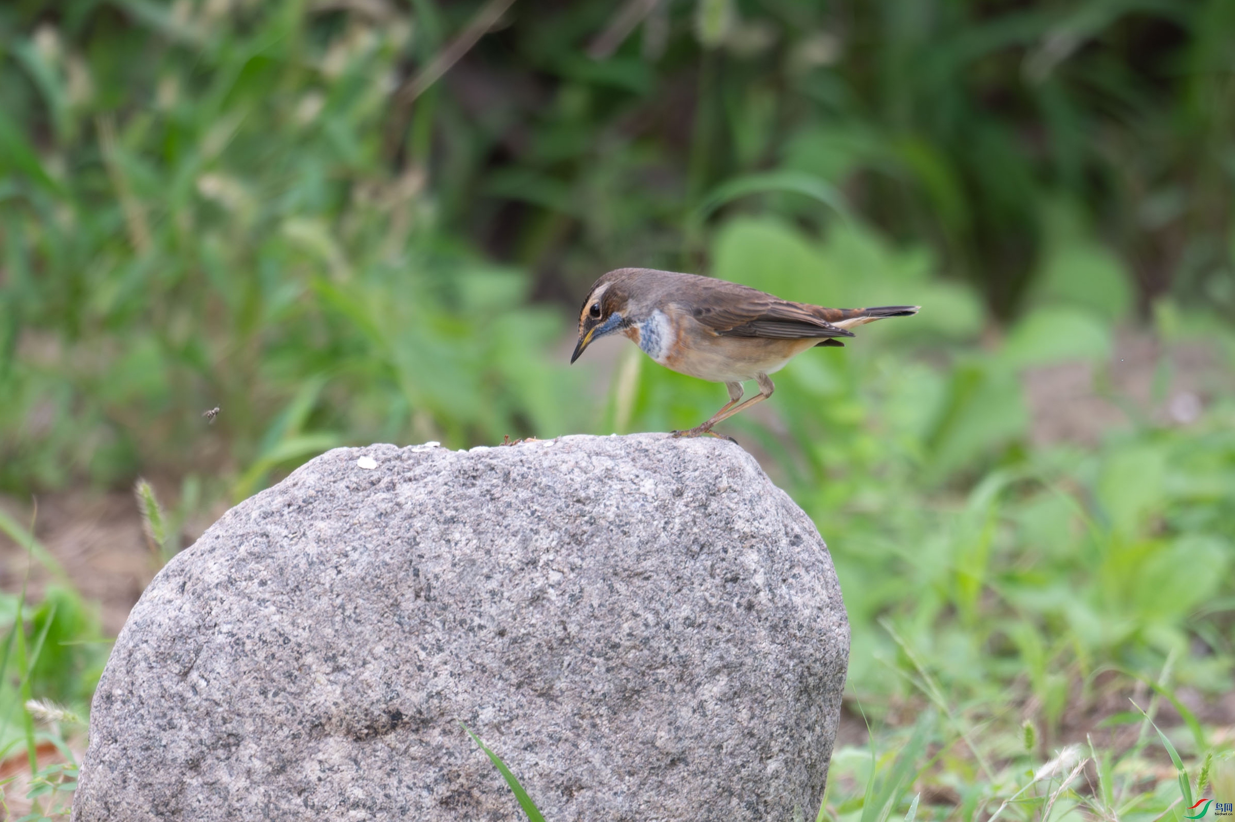 DSC_3039.jpg