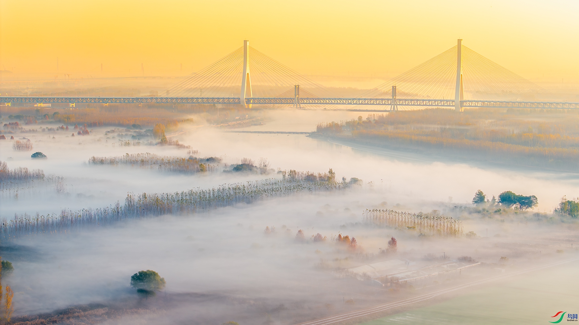 DJI_20241124080403_0272_С��.jpg