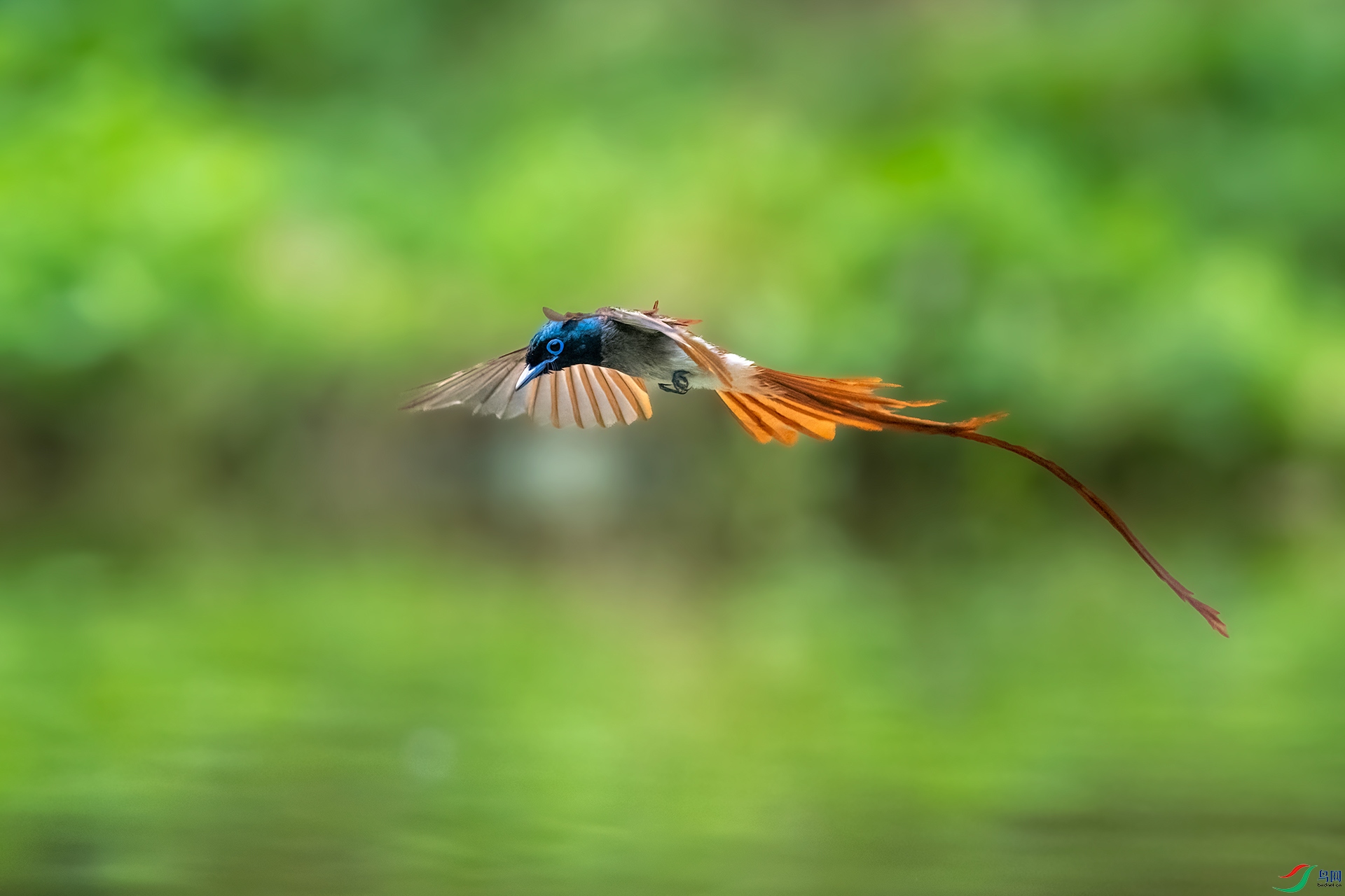 DSC_7270-1.jpg
