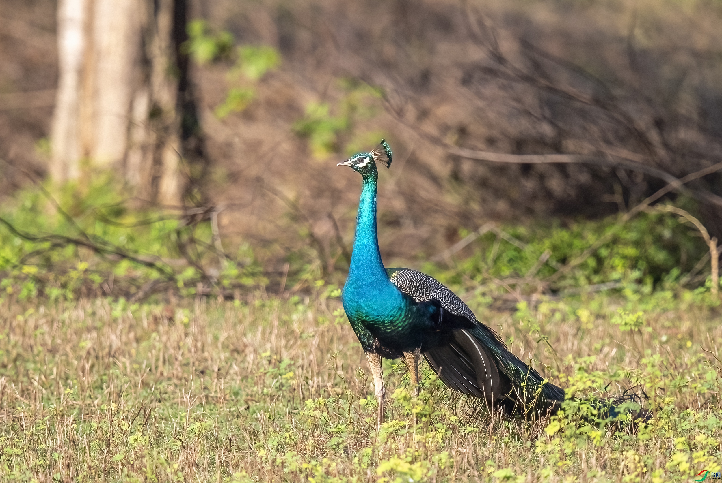 AC3I3159 ����.jpg