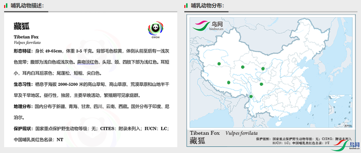 bafb07e4197de33b827cb00e308a819.png