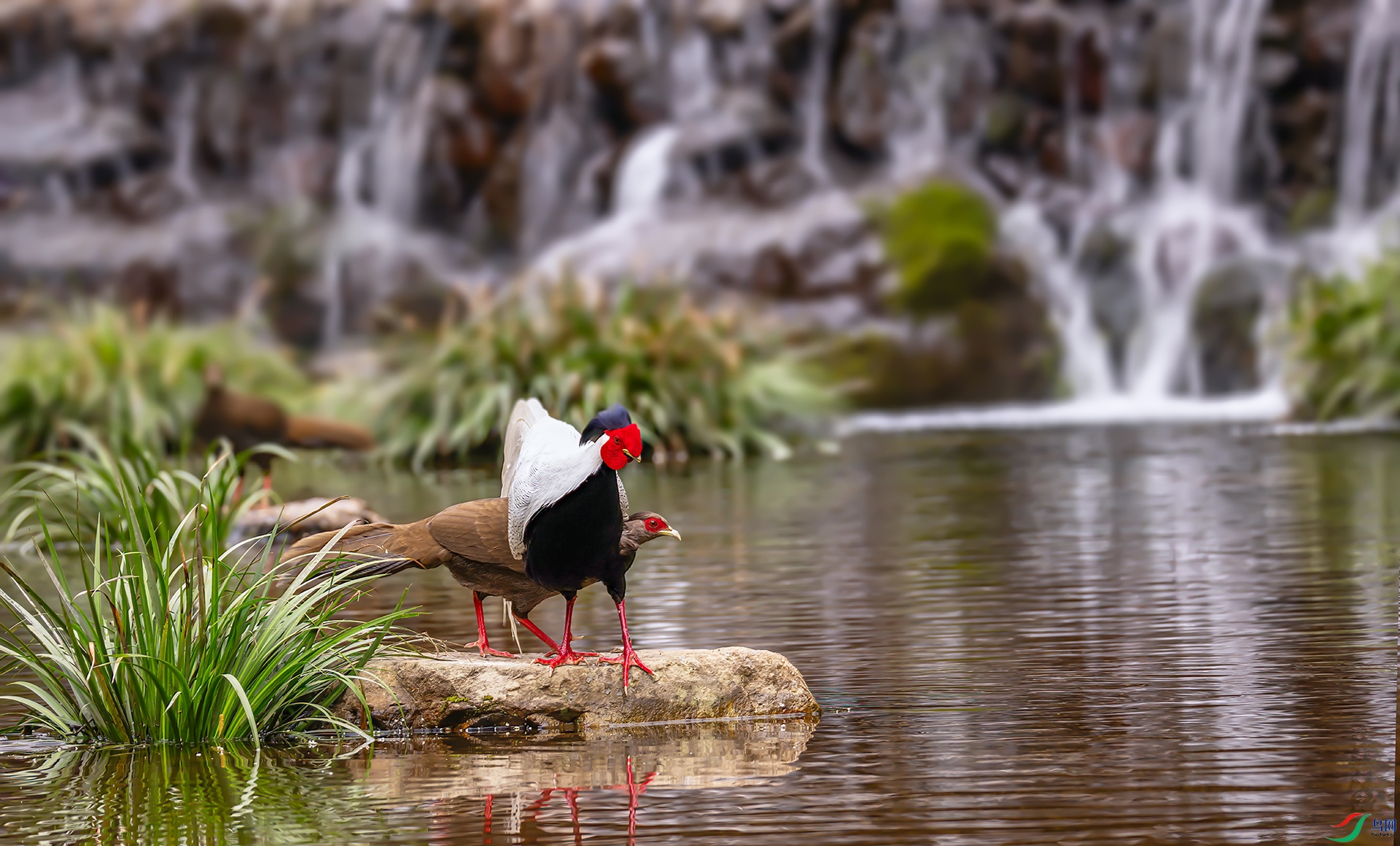 407A7734 ����-Sh----1 .jpg